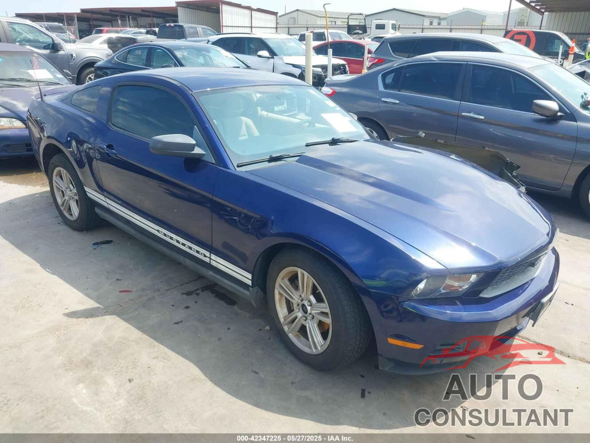 FORD MUSTANG 2010 - 1ZVBP8AN8A5101608