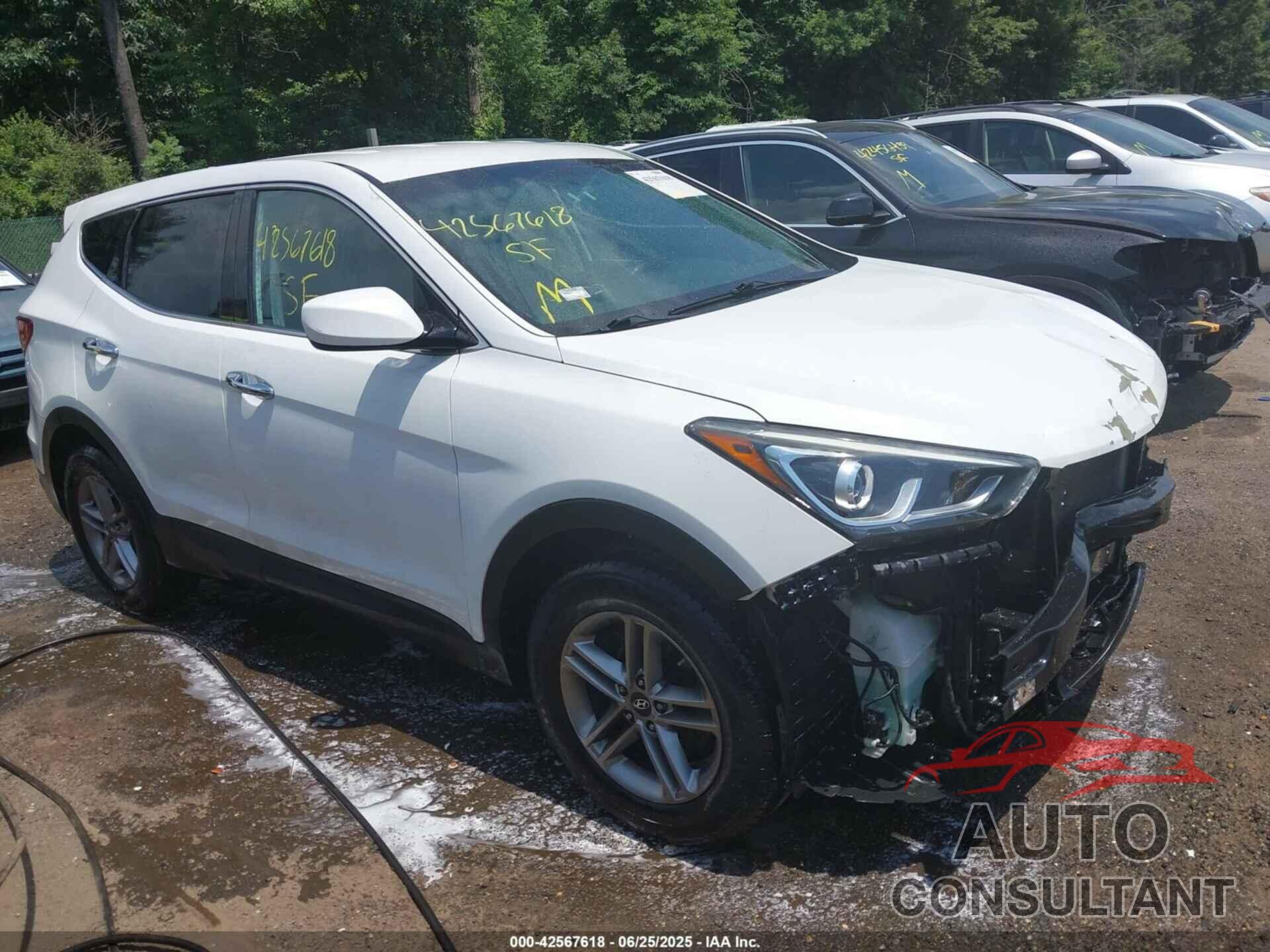 HYUNDAI SANTA FE SPORT 2017 - 5NMZTDLB8HH011505