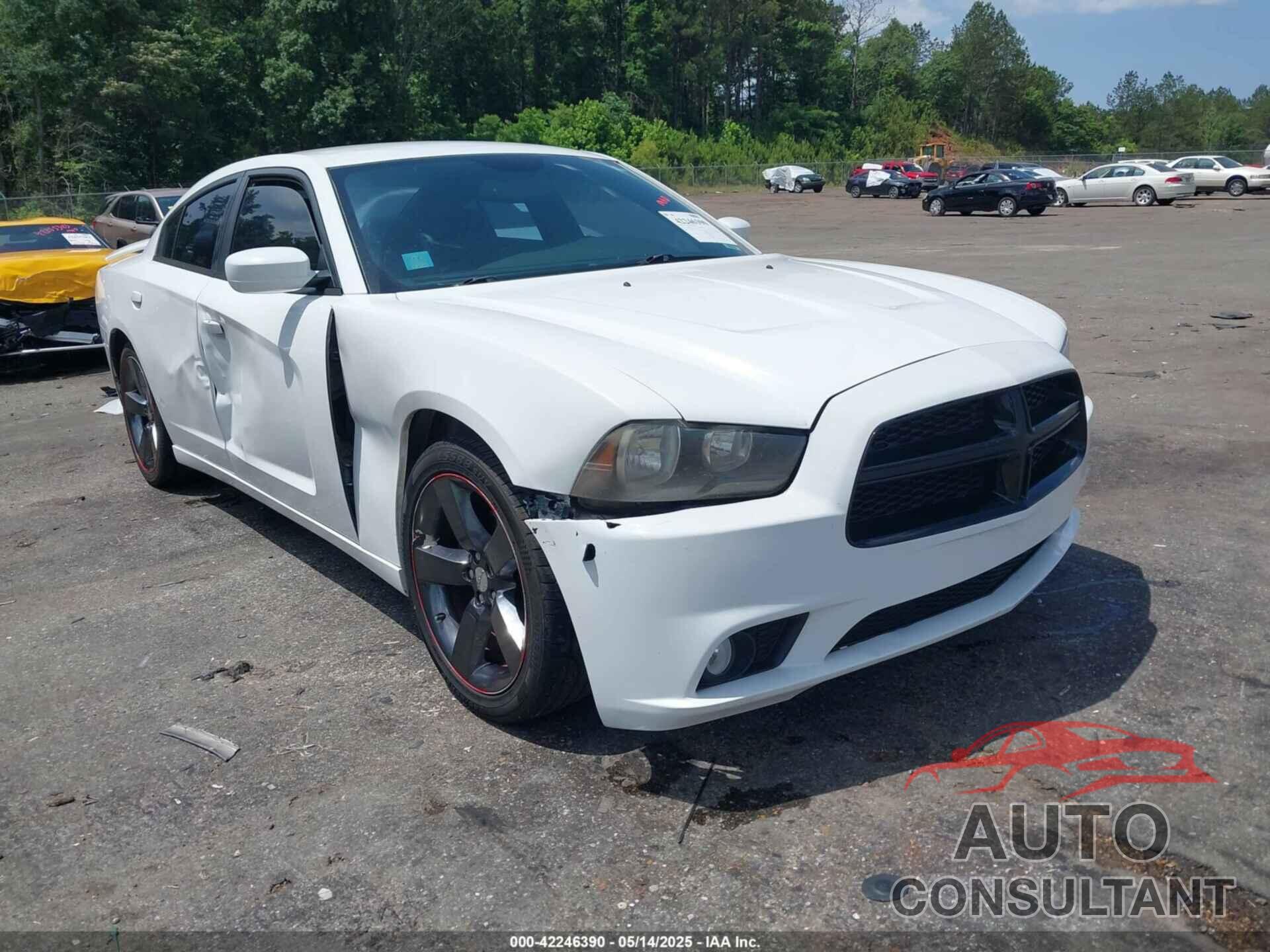 DODGE CHARGER 2014 - 2C3CDXHGXEH178128