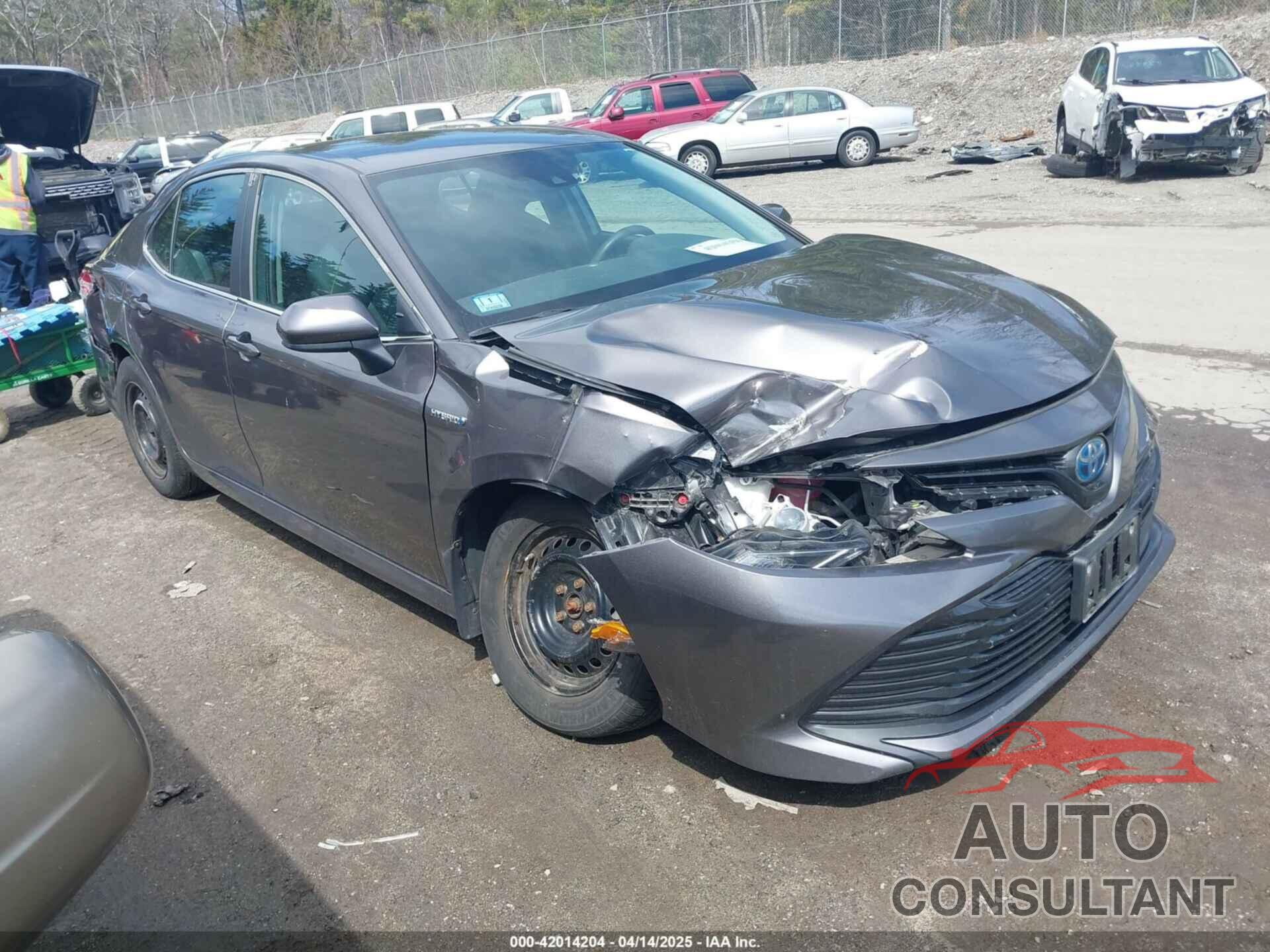 TOYOTA CAMRY HYBRID 2019 - 4T1B31HK0KU509265