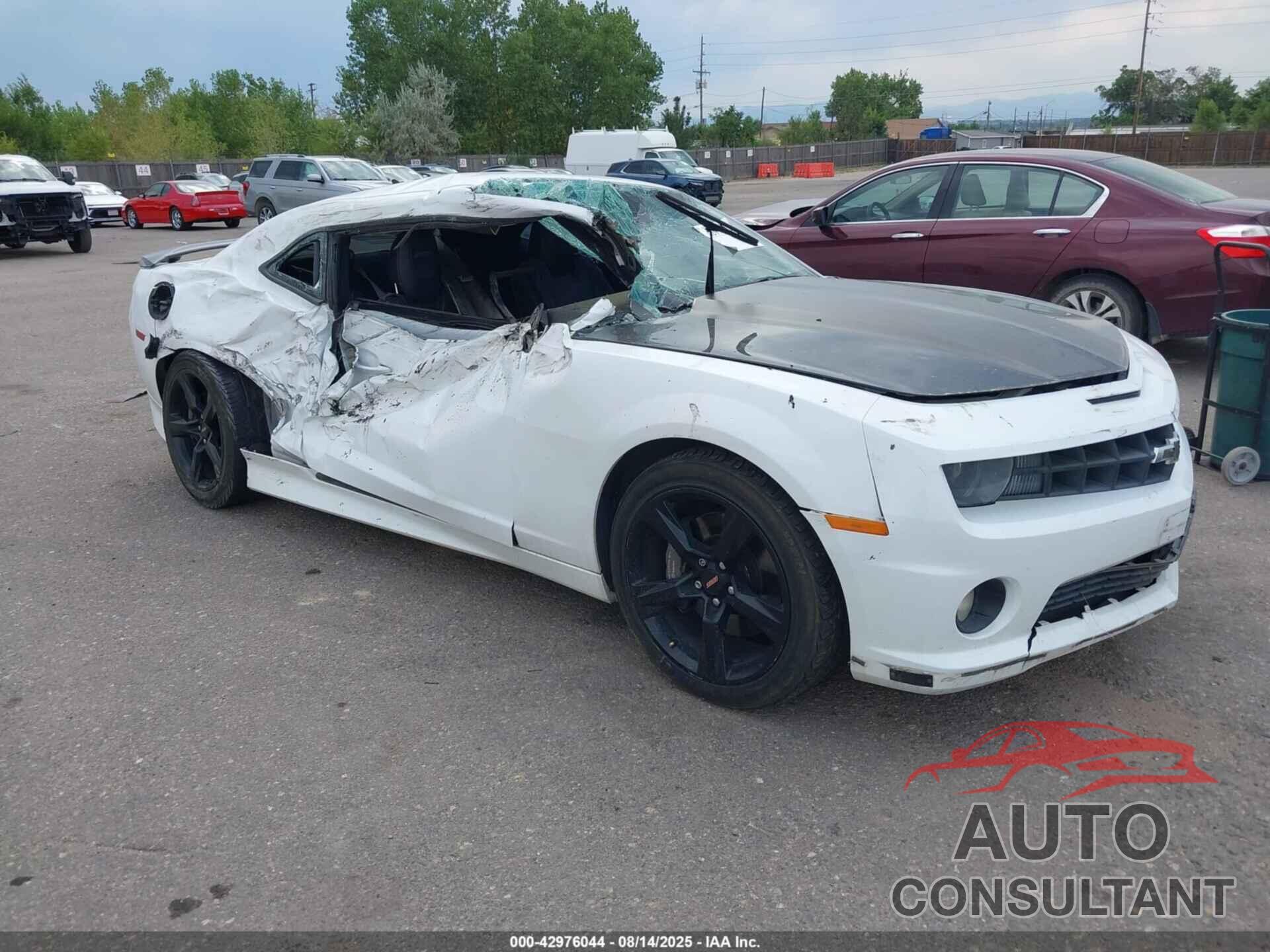 CHEVROLET CAMARO 2010 - 2G1FT1EW1A9164507