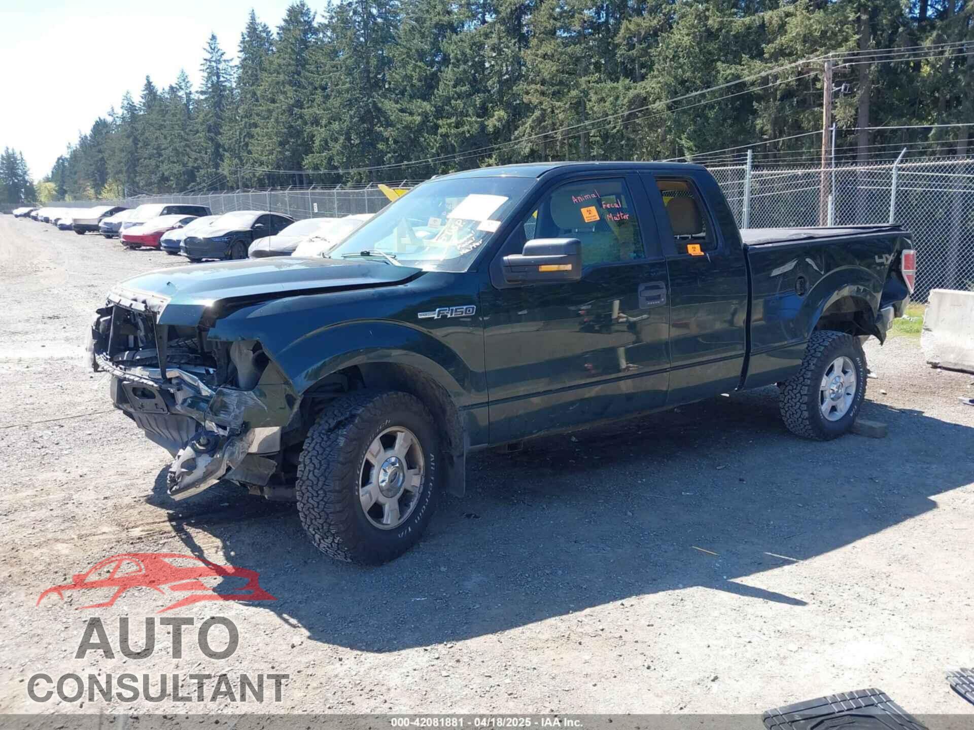 FORD F-150 2013 - 1FTFX1EF5DFD70453
