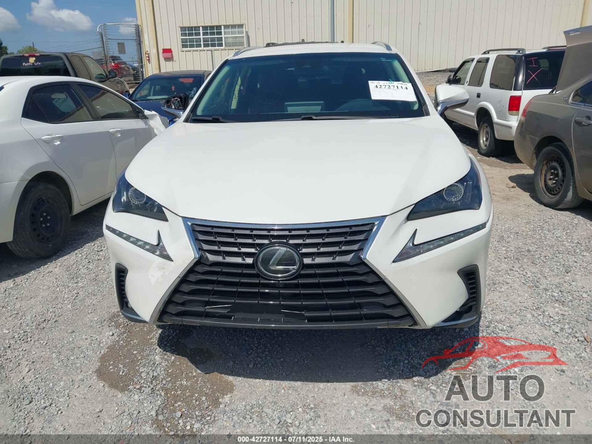 LEXUS NX 300 2019 - JTJYARBZ2K2156304