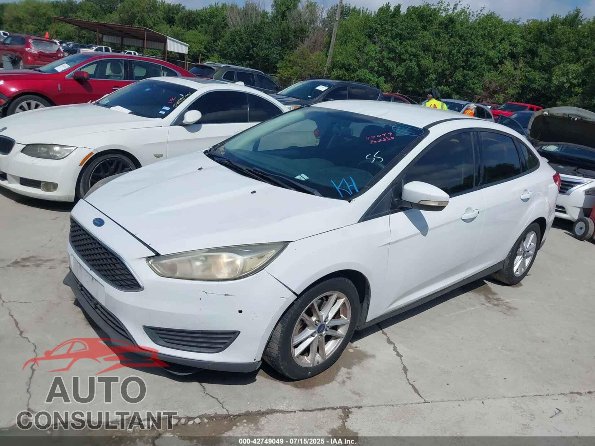 FORD FOCUS 2016 - 1FADP3F25GL291617
