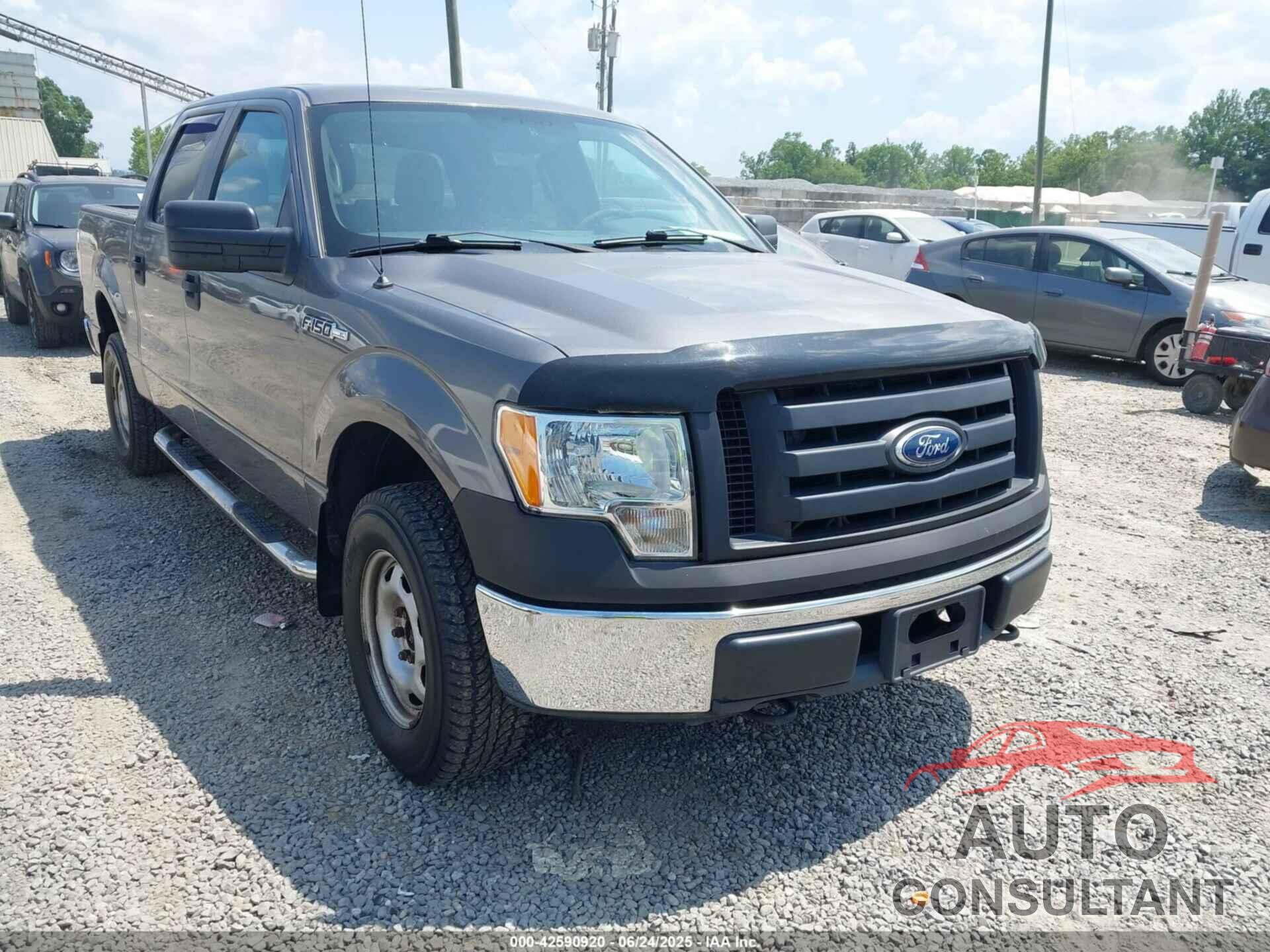 FORD F-150 2010 - 1FTEW1E87AFD69672
