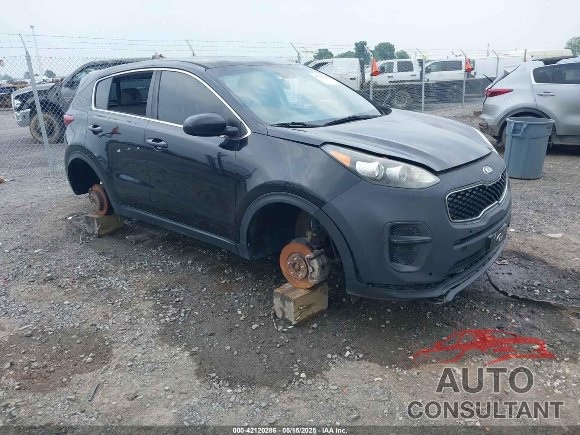 KIA SPORTAGE 2017 - KNDPM3AC4H7109481