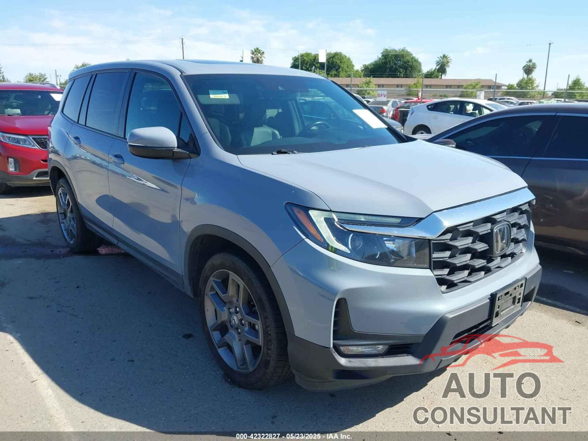 HONDA PASSPORT 2022 - 5FNYF7H52NB002772