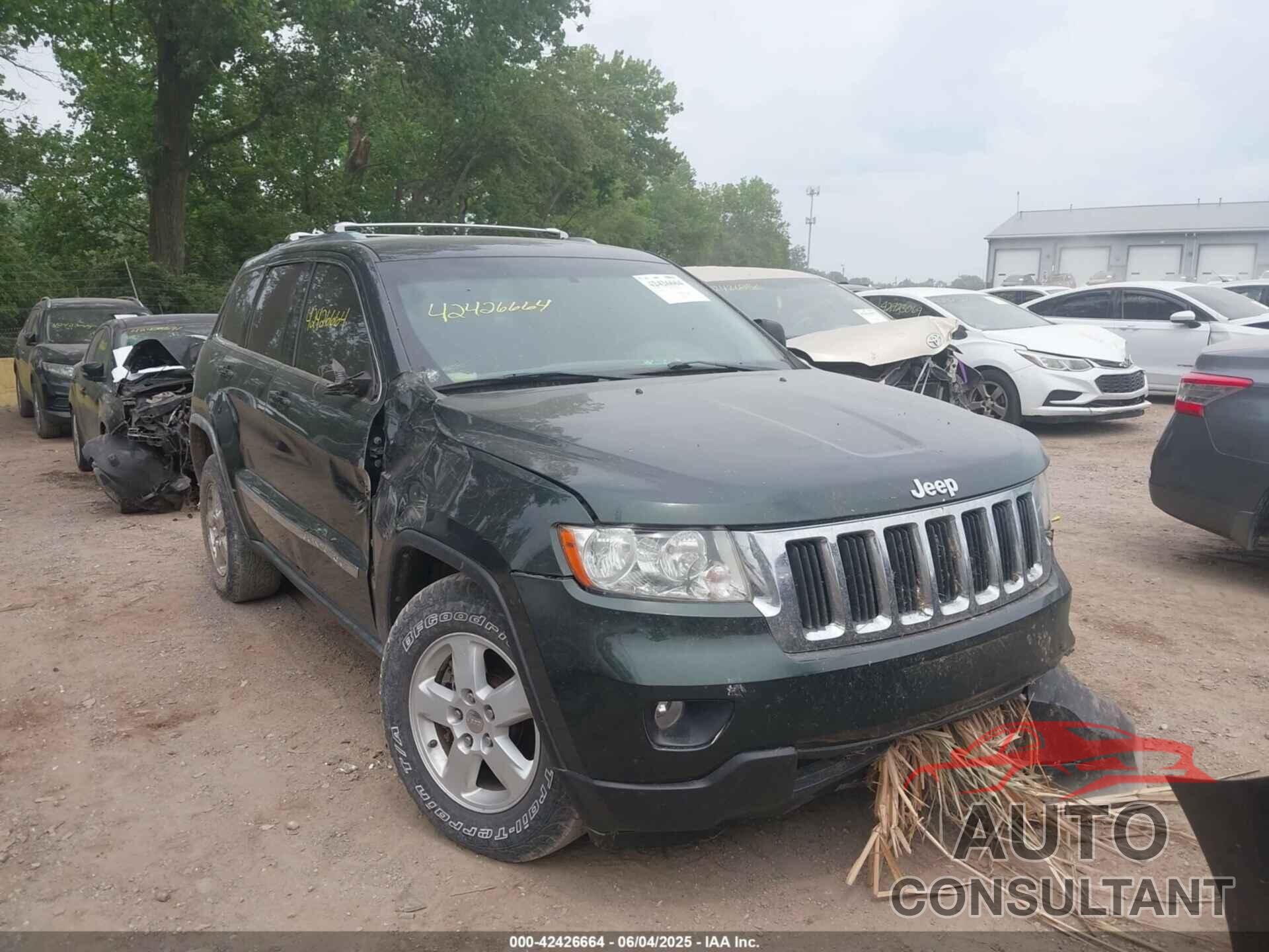 JEEP GRAND CHEROKEE 2011 - 1J4RR4GG7BC552694