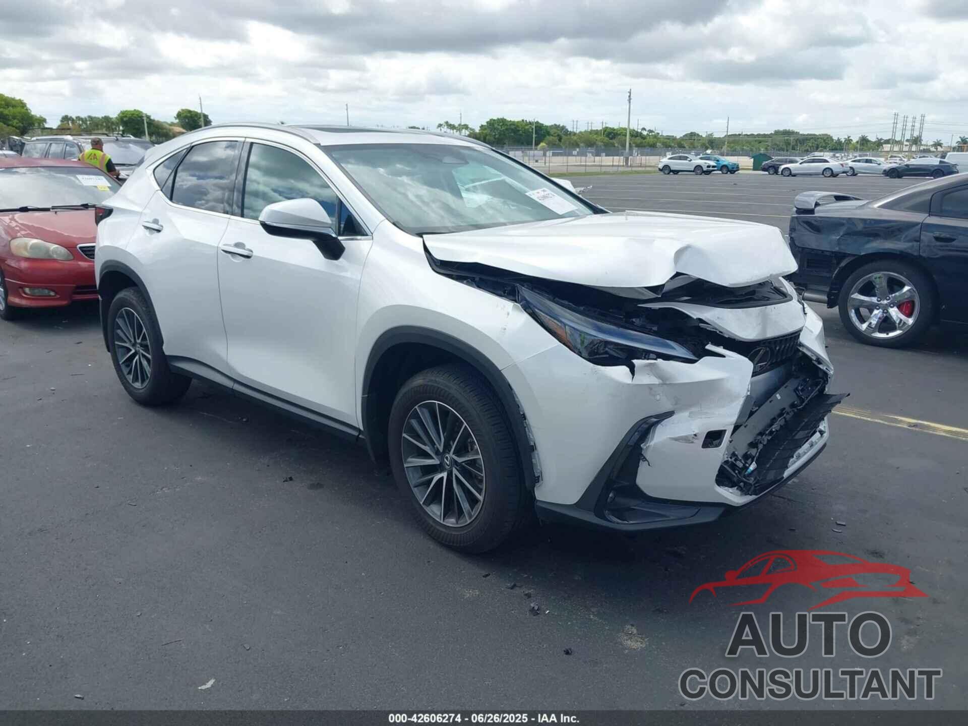LEXUS NX 250 2025 - 2T2GDCAZ7SC021711