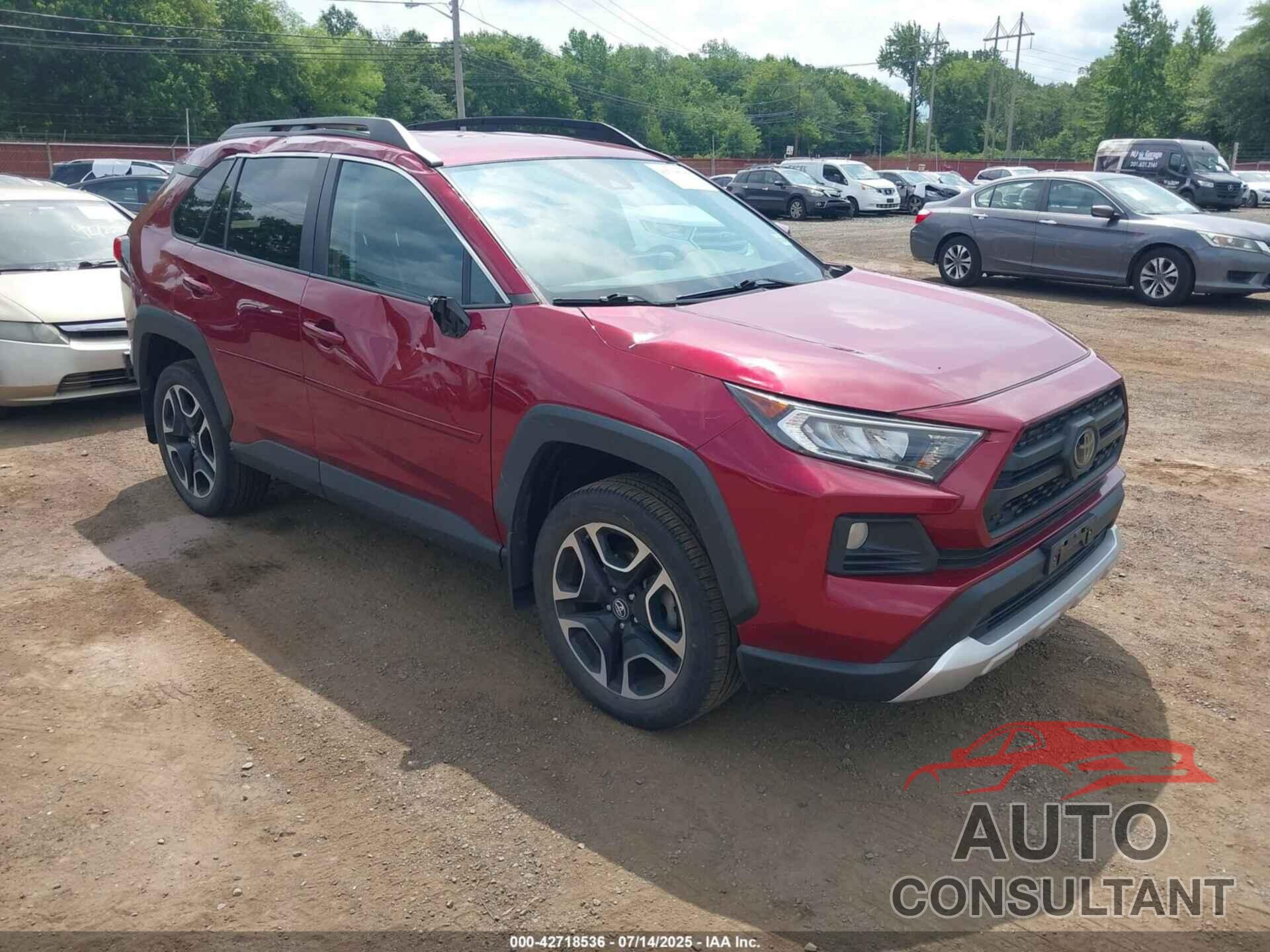 TOYOTA RAV4 2019 - 2T3J1RFV2KC020842