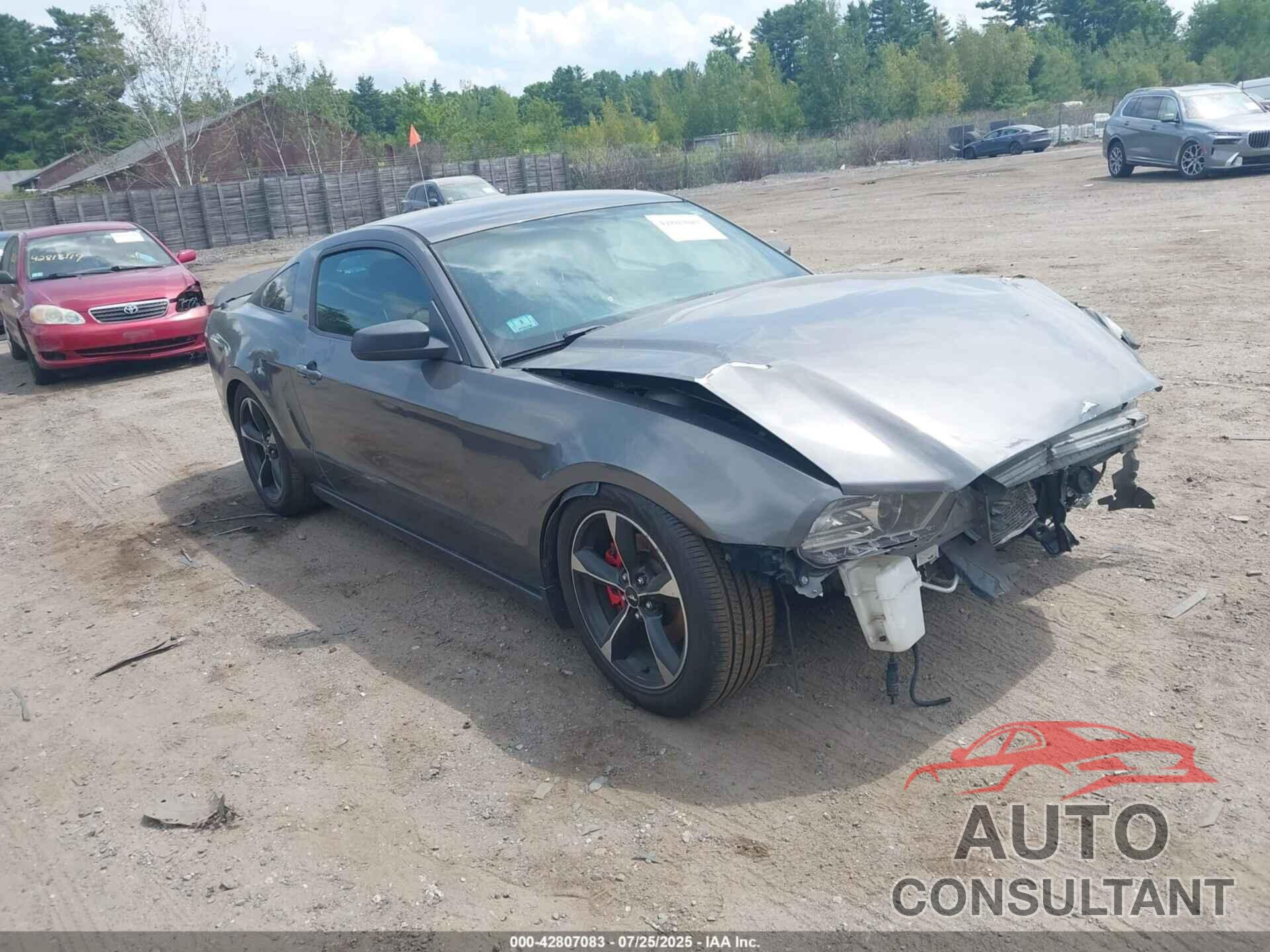 FORD MUSTANG 2014 - 1ZVBP8AM5E5270918