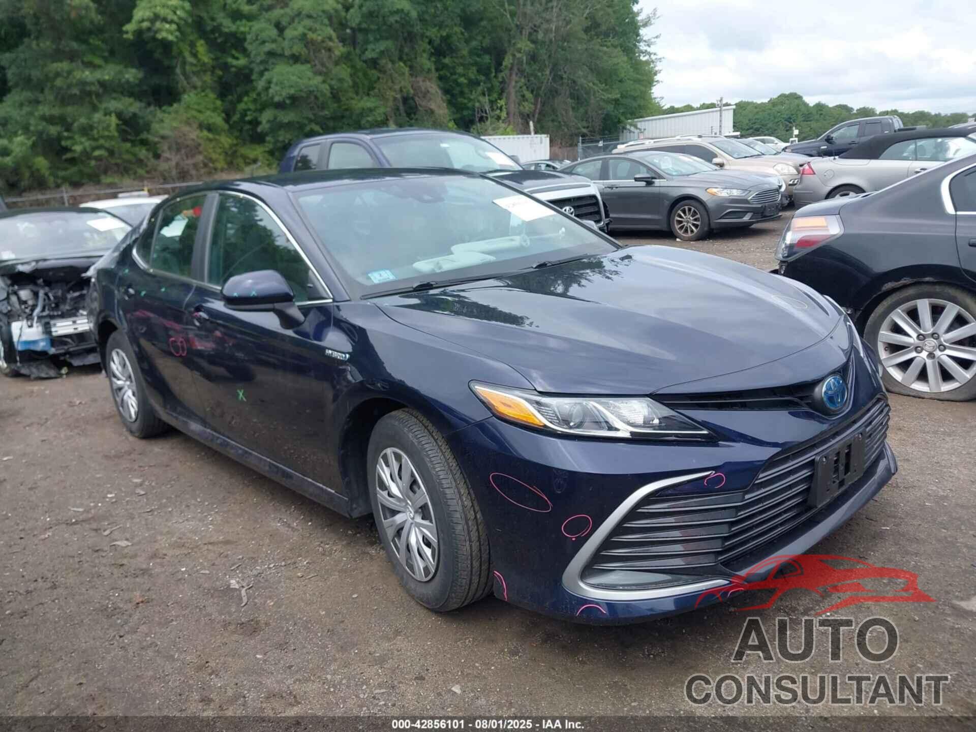 TOYOTA CAMRY 2021 - 4T1C31AK8MU552172
