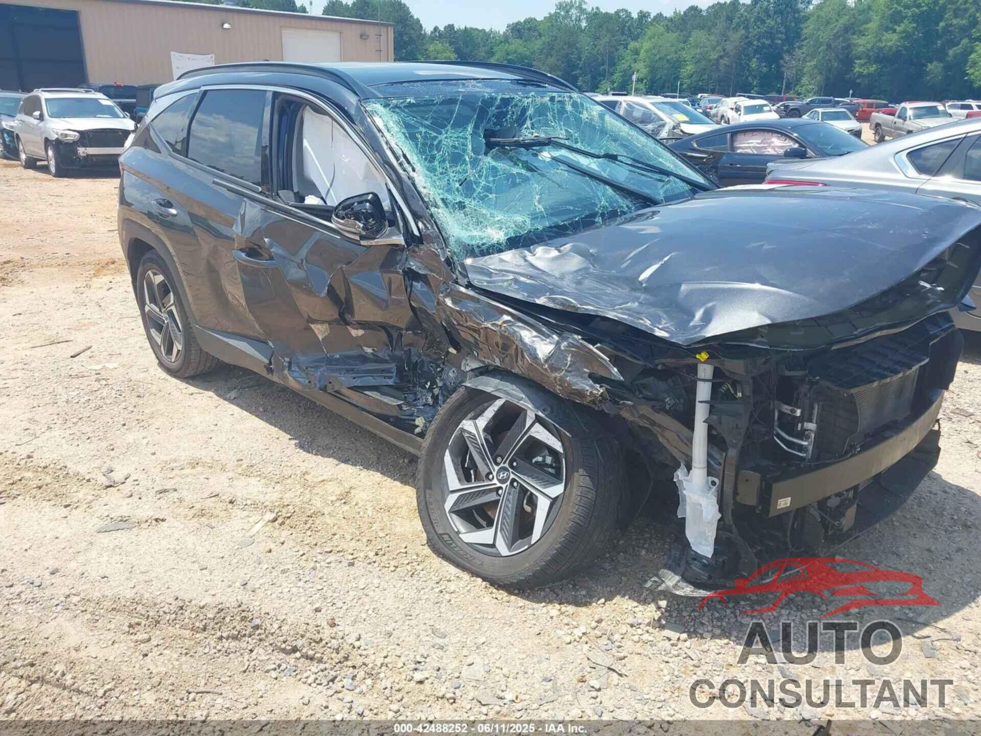 HYUNDAI TUCSON 2023 - 5NMJECAE5PH258221