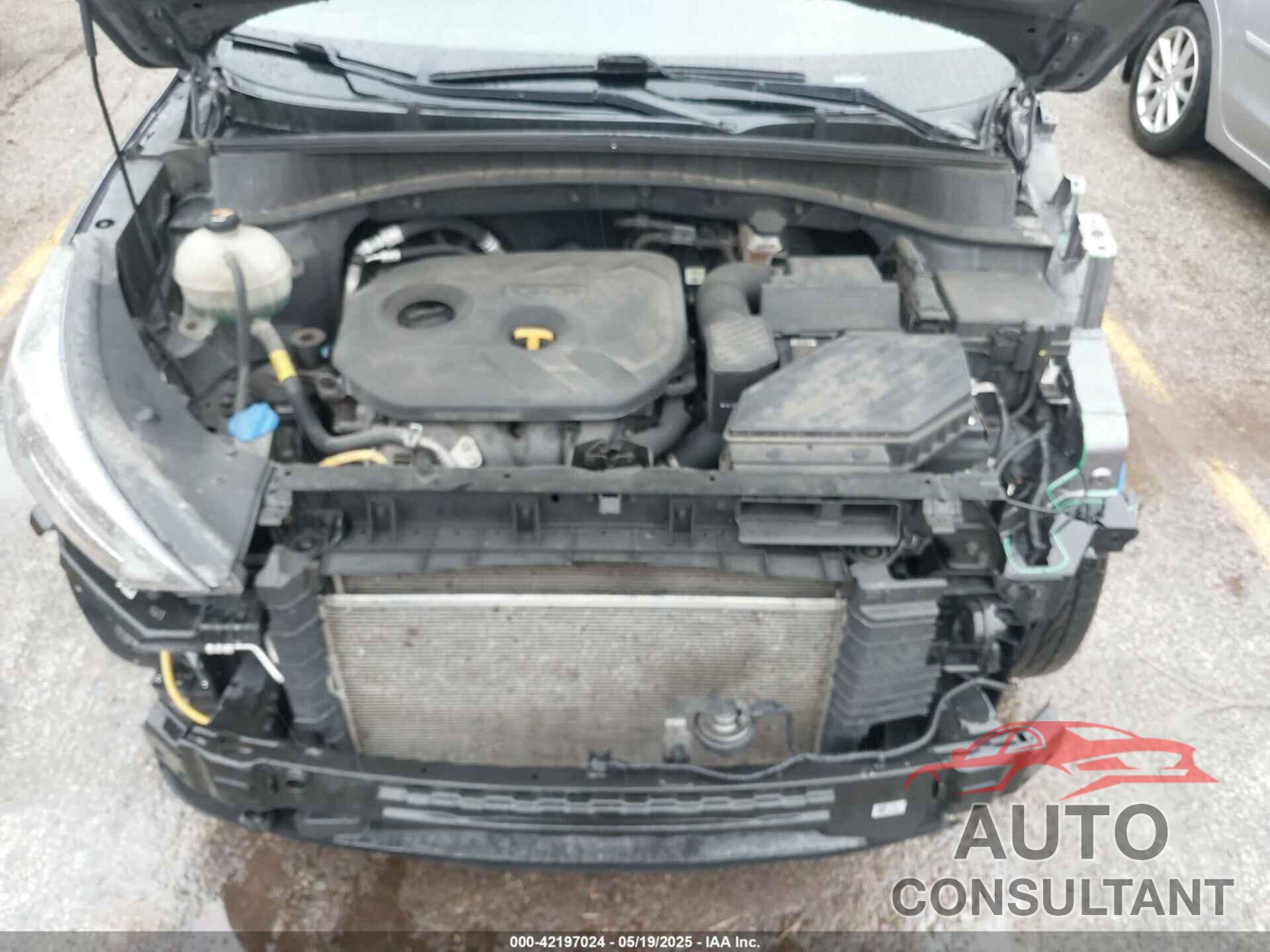 HYUNDAI TUCSON 2020 - KM8J2CA45LU081250