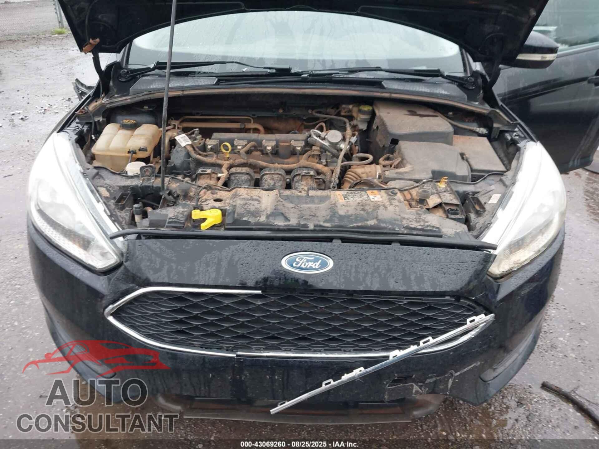 FORD FOCUS 2016 - 1FADP3F27GL401471