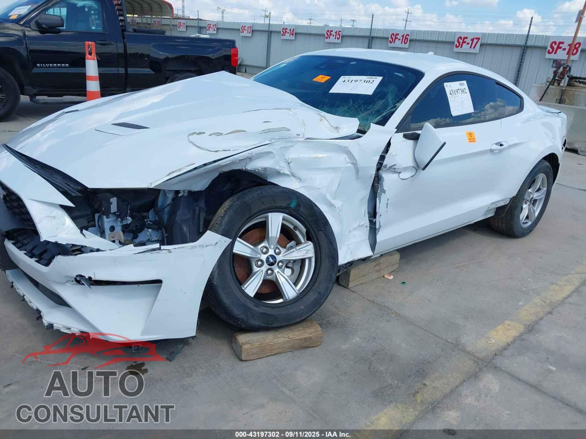 FORD MUSTANG 2021 - 1FA6P8TH3M5153895