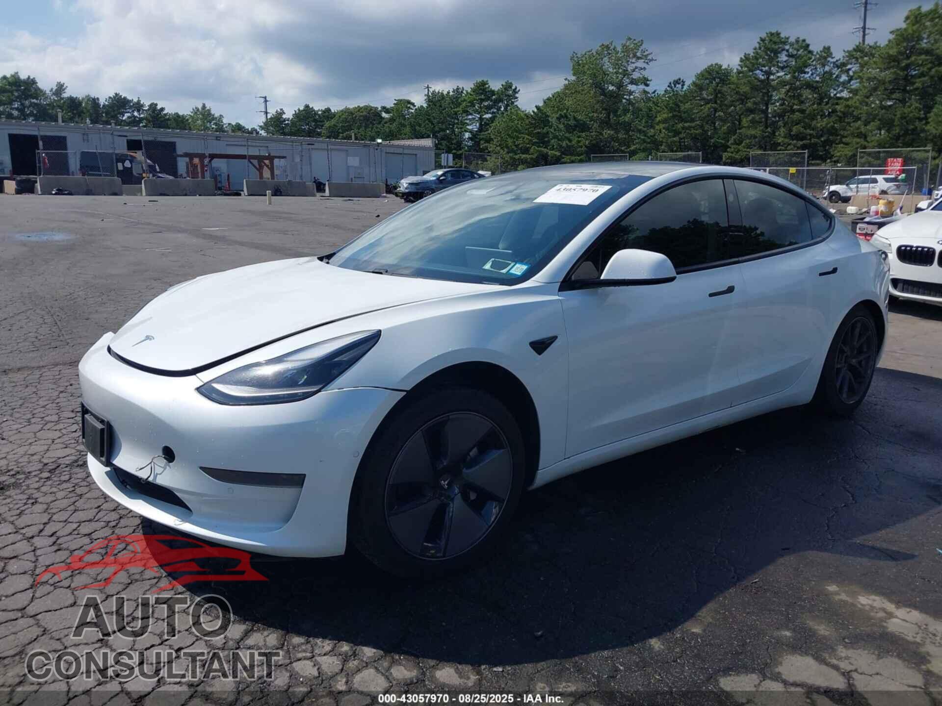TESLA MODEL 3 2021 - 5YJ3E1EA1MF053660