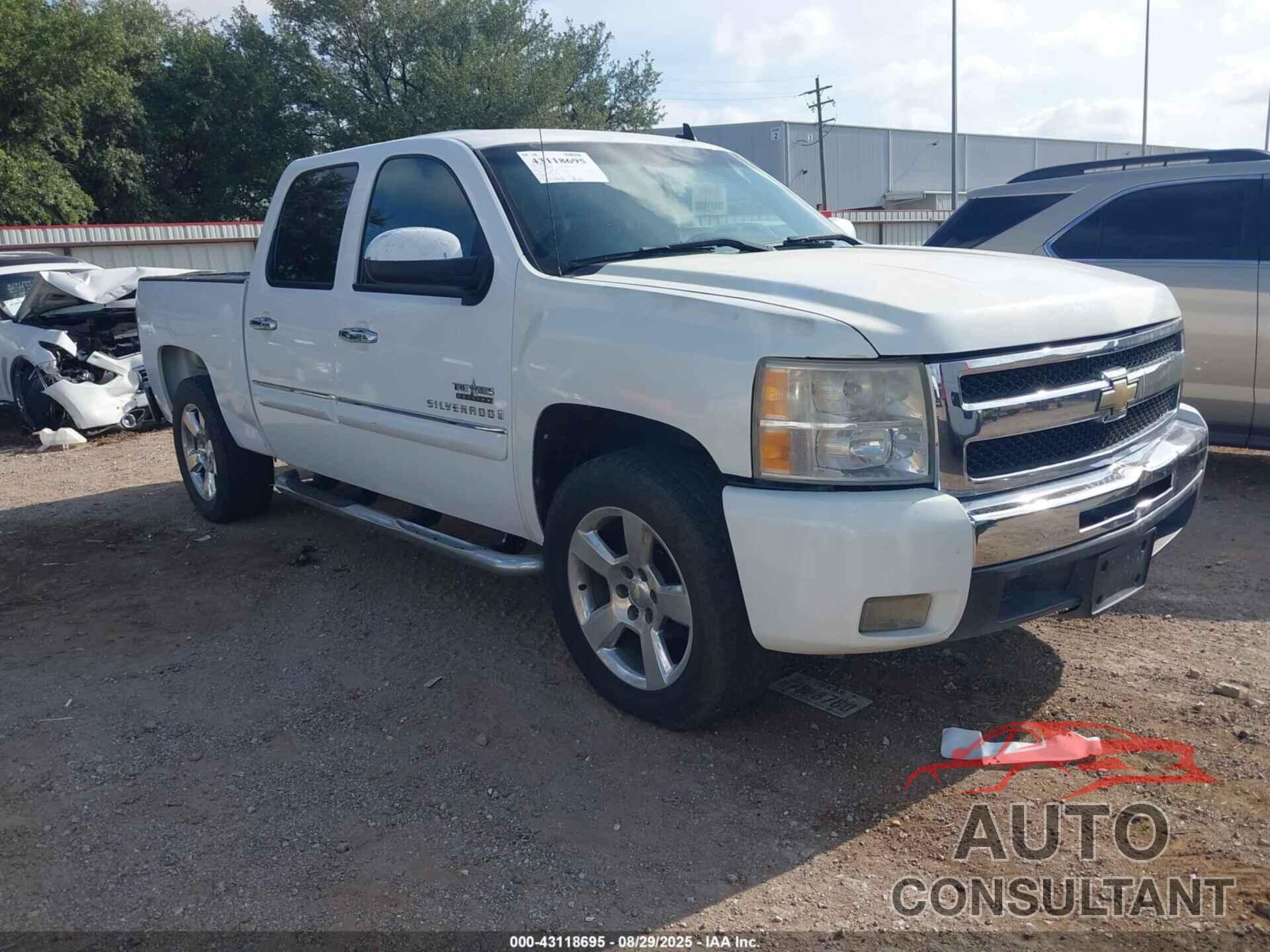CHEVROLET SILVERADO 1500 2009 - 3GCEC23JX9G167326