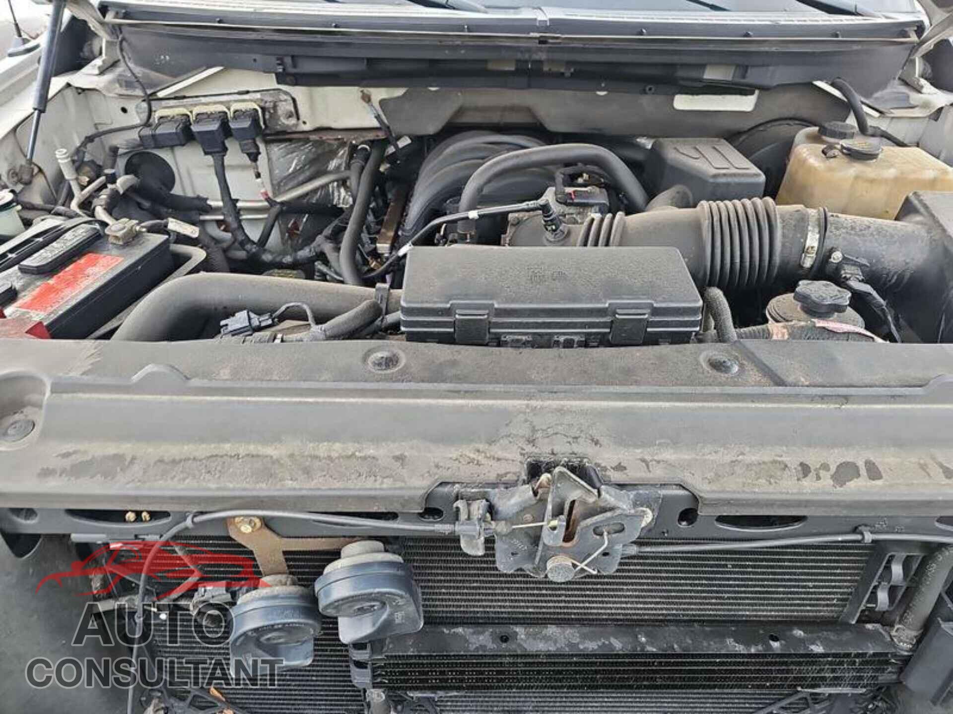 FORD F150 2009 - 1FTRW14869FA18766