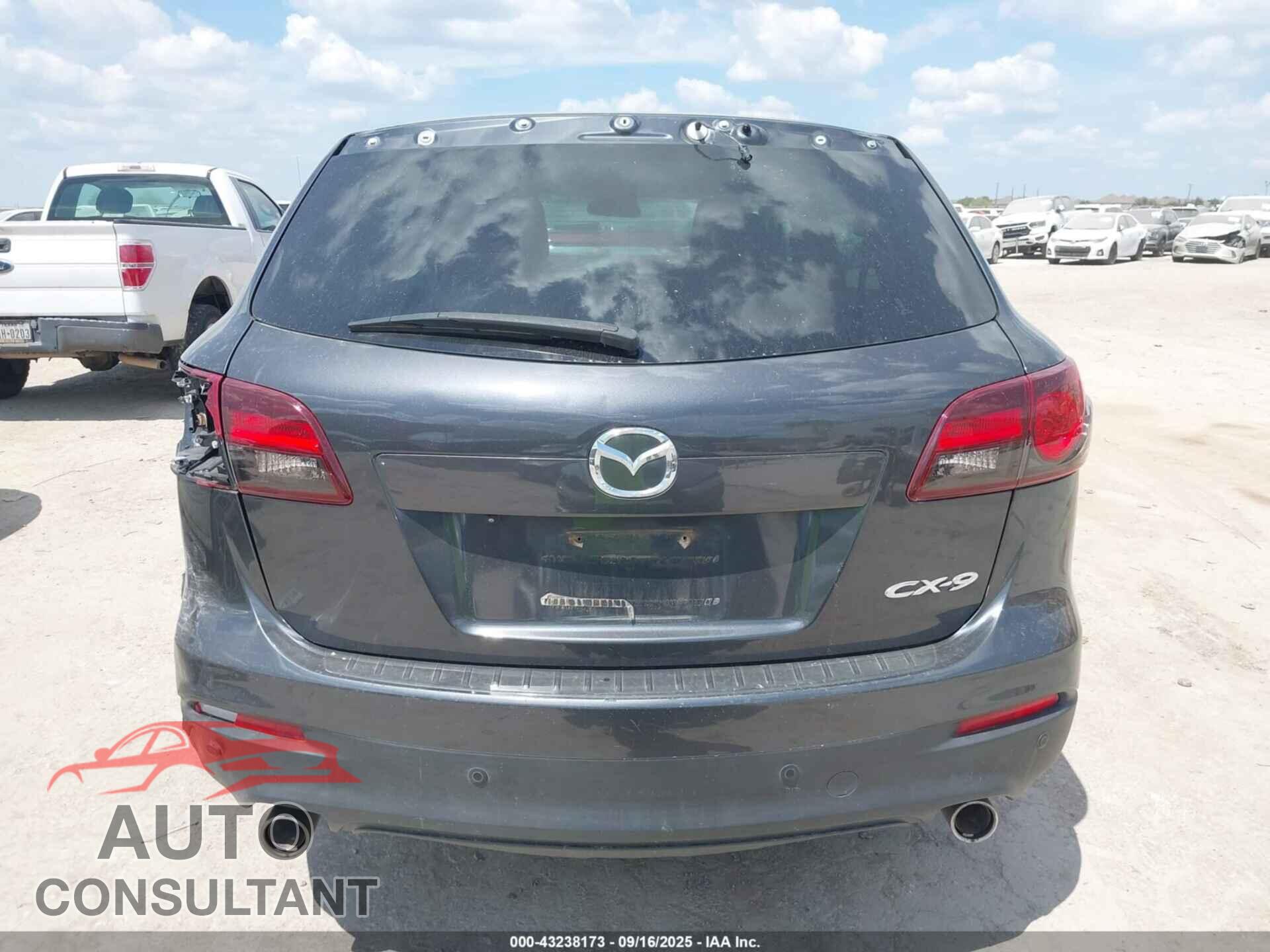 MAZDA CX-9 2014 - JM3TB2CA9E0441924