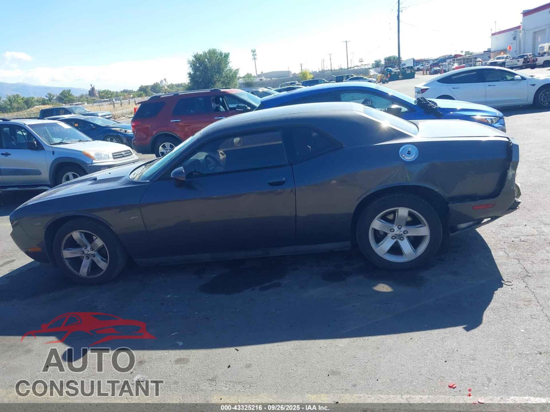 DODGE CHALLENGER 2013 - 2C3CDYAGXDH675016