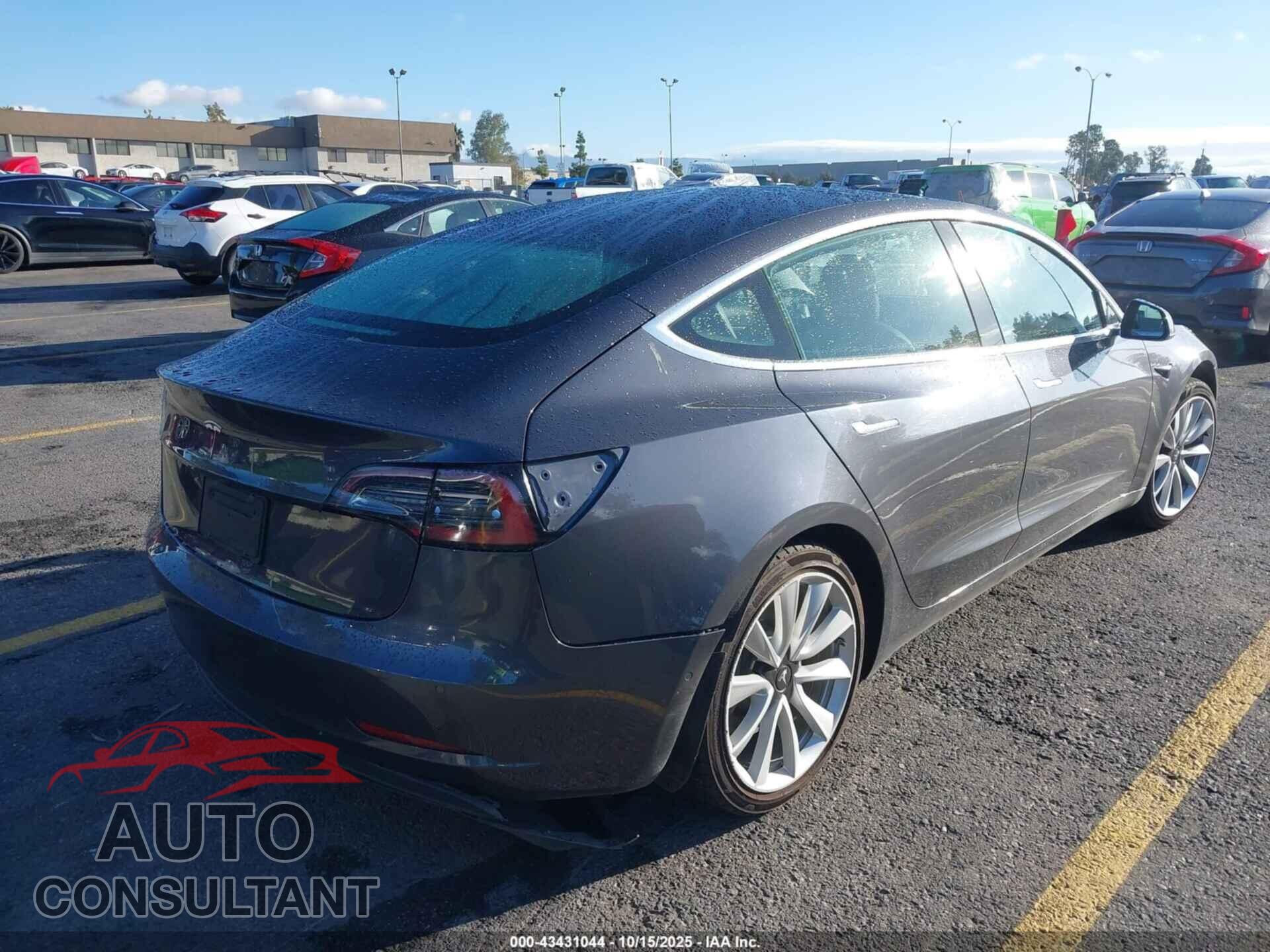 TESLA MODEL 3 2019 - 5YJ3E1EA8KF311055