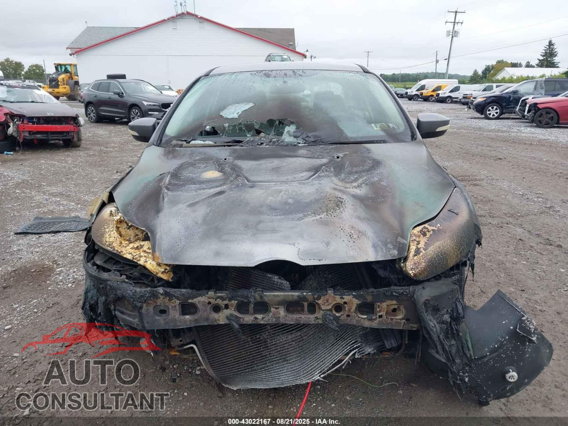 FORD FOCUS 2014 - 1FADP3F23EL445934