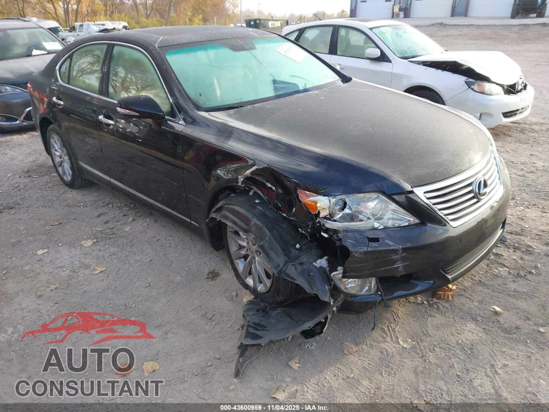 LEXUS LS 460 2012 - JTHCL5EF2C5013059
