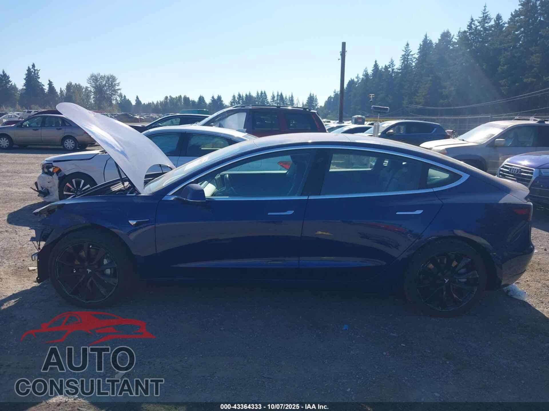 TESLA MODEL 3 2018 - 5YJ3E1EA2JF164231