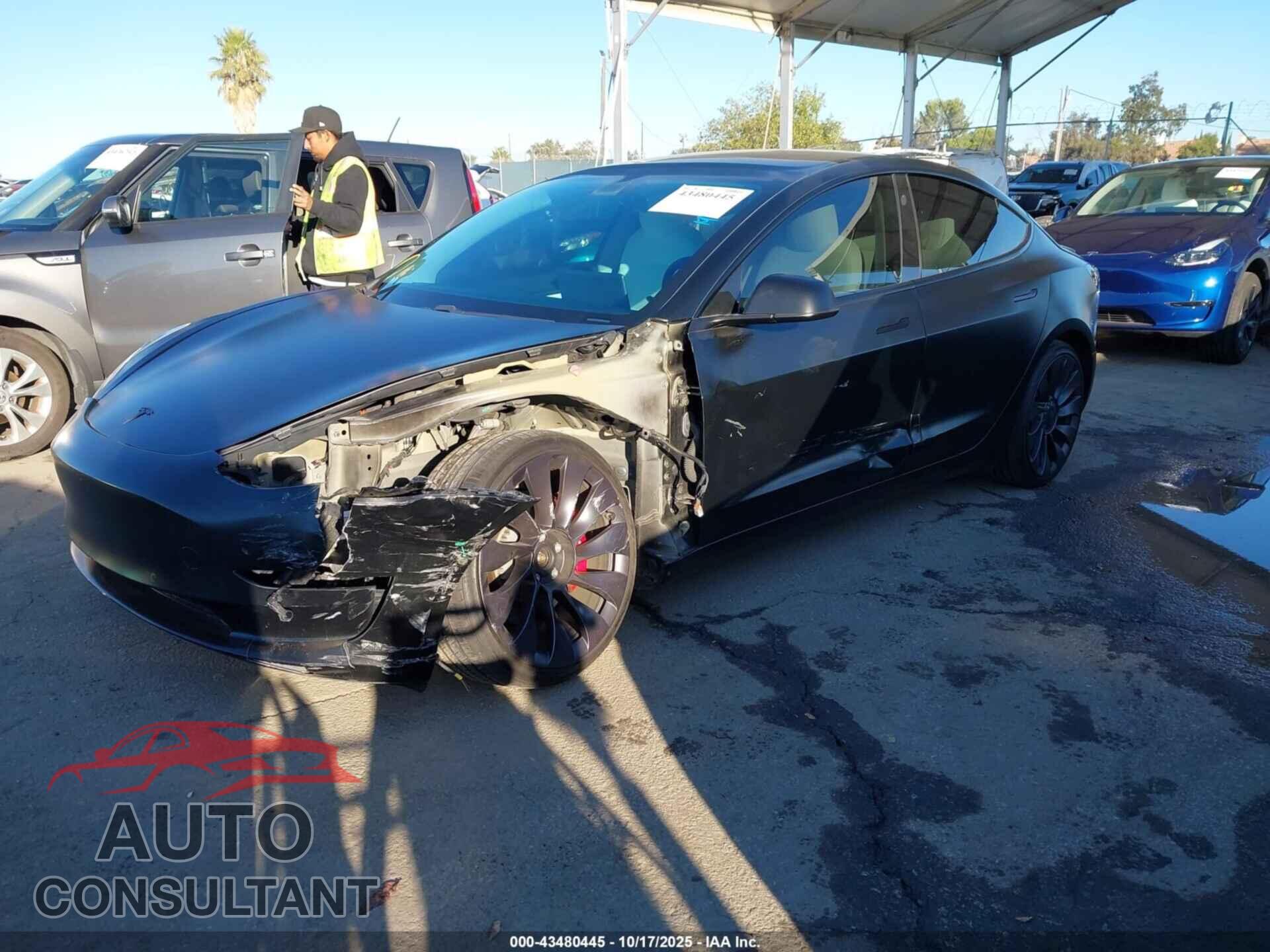 TESLA MODEL 3 2021 - 5YJ3E1EC7MF856345