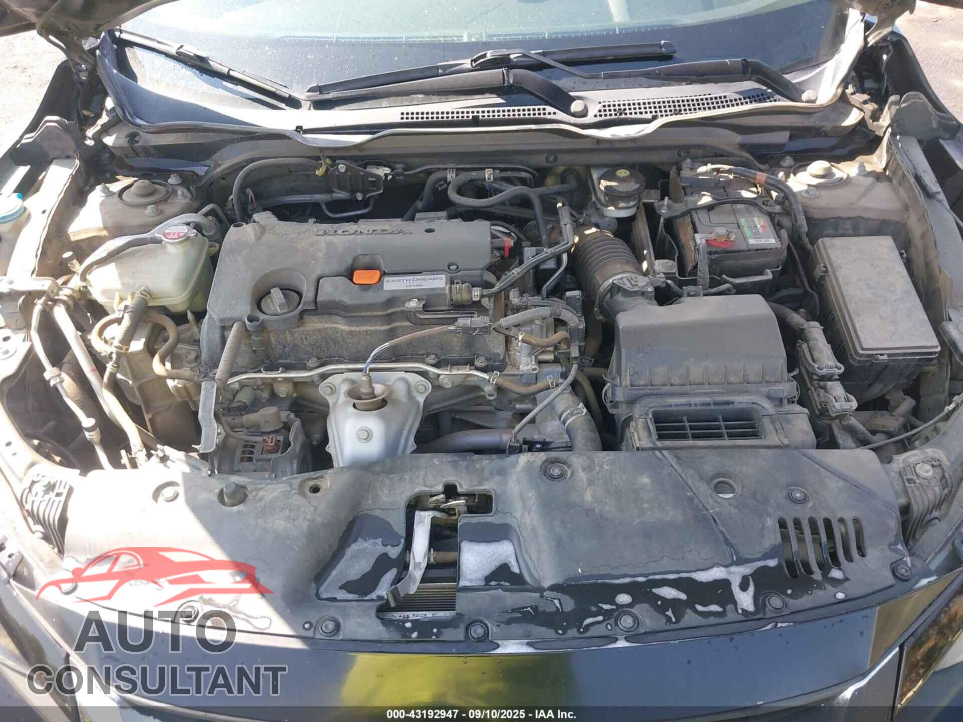 HONDA CIVIC 2019 - 2HGFC2F64KH553985
