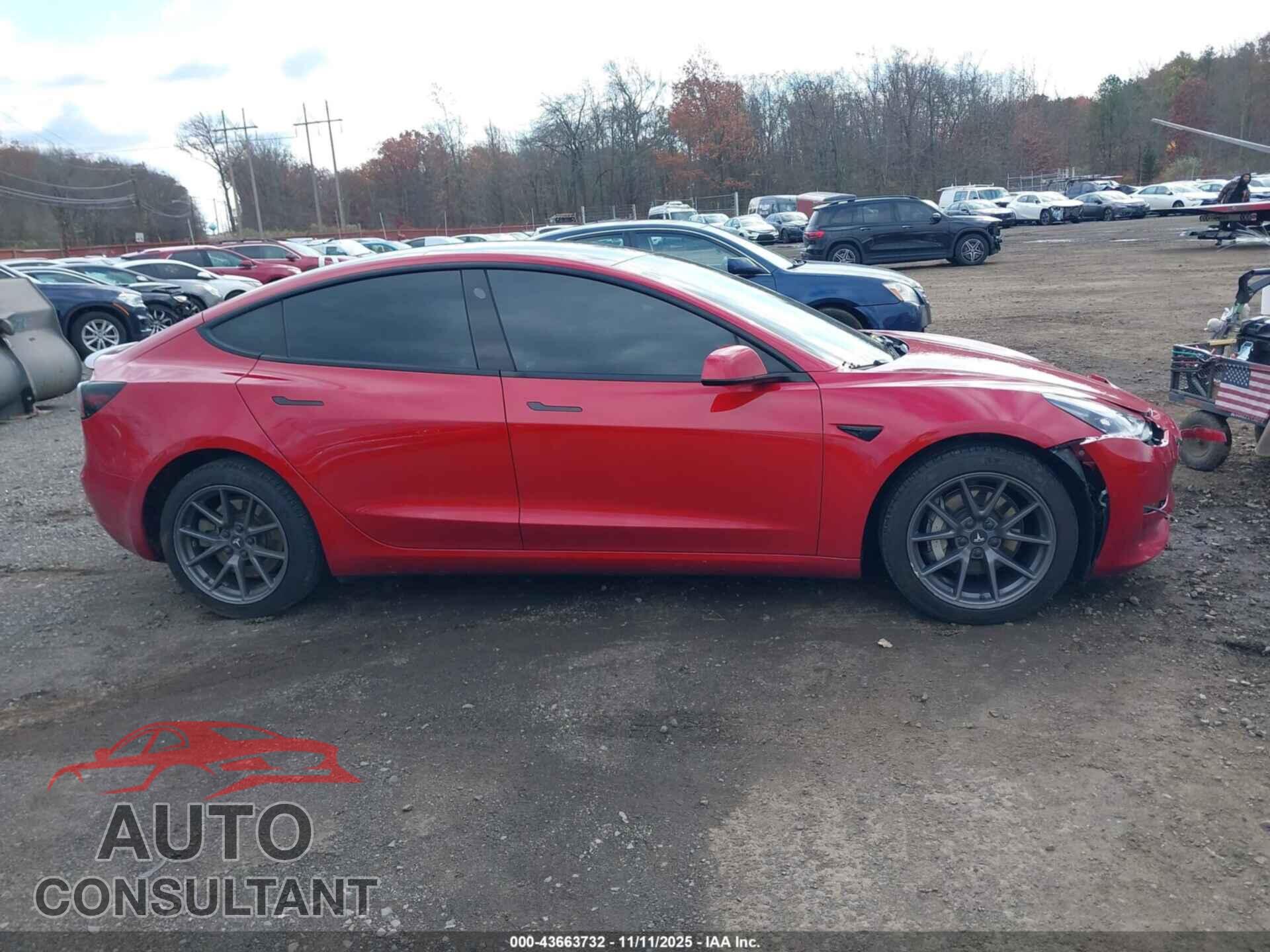 TESLA MODEL 3 2021 - 5YJ3E1EA1MF919356