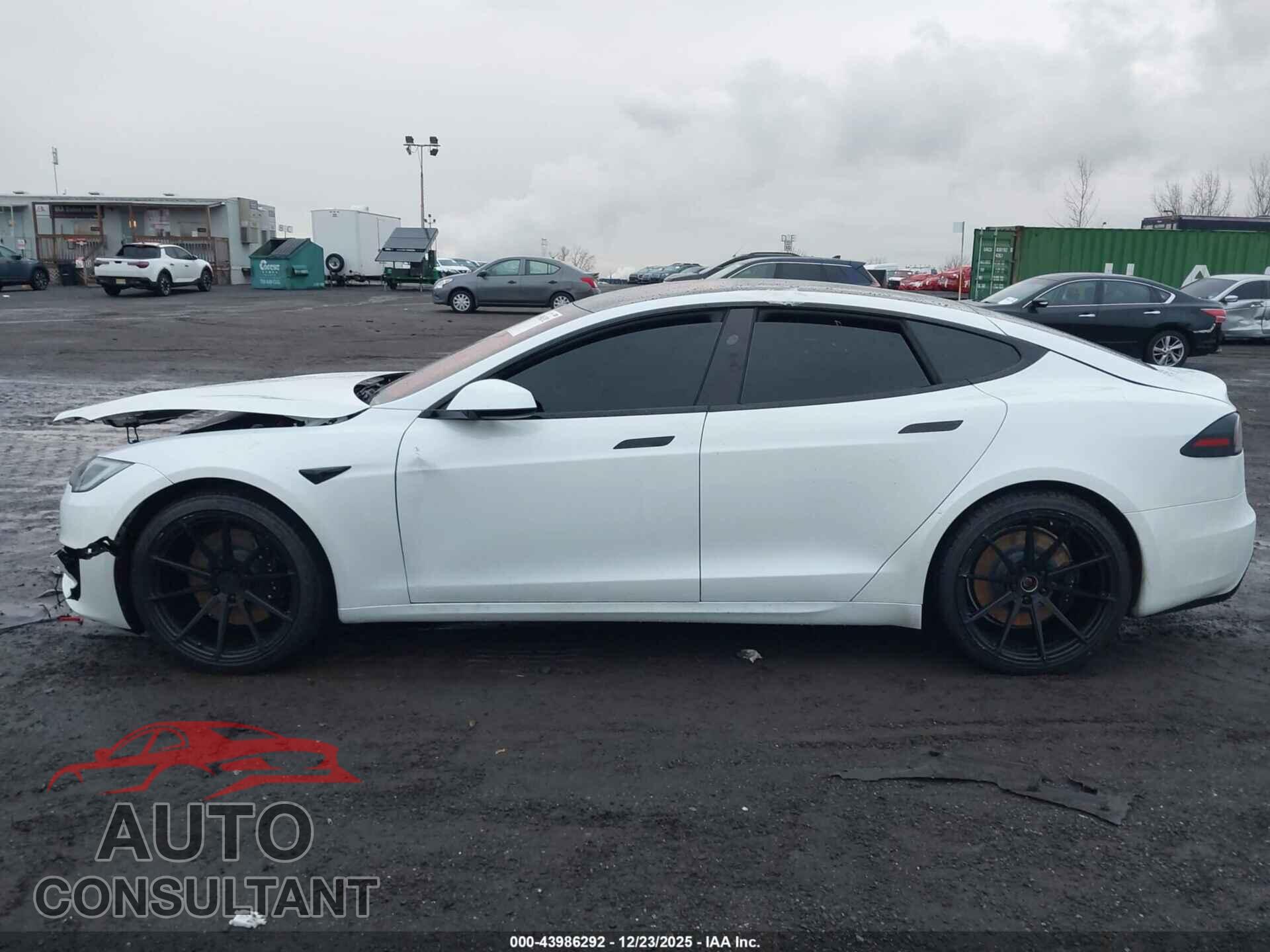 TESLA MODEL S 2023 - 5YJSA1E56PF515919