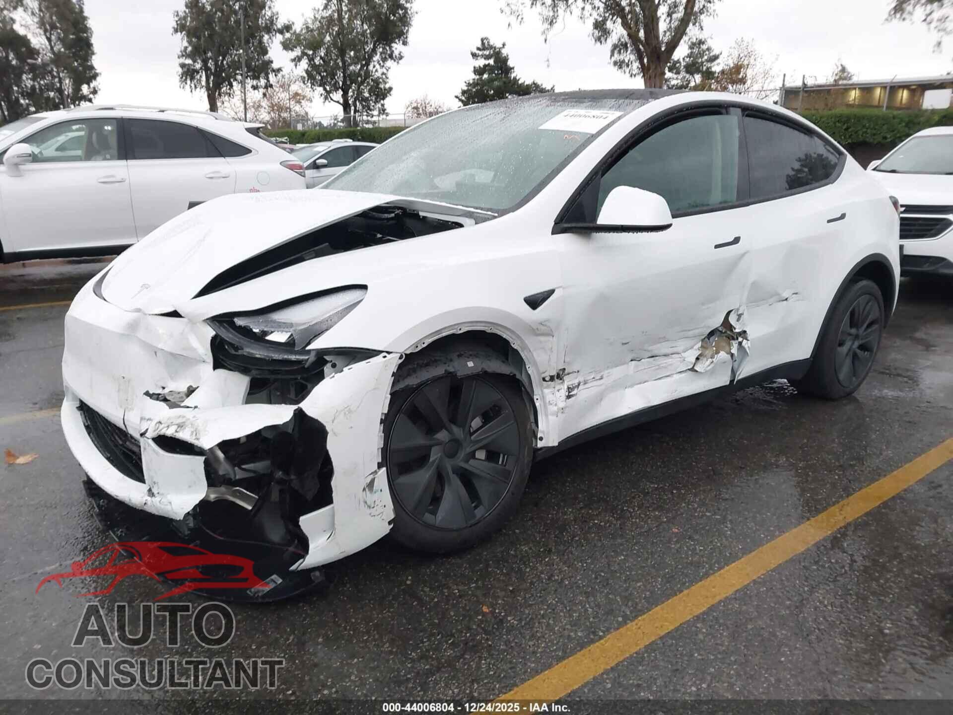 TESLA MODEL Y 2024 - 7SAYGDED3RF149621