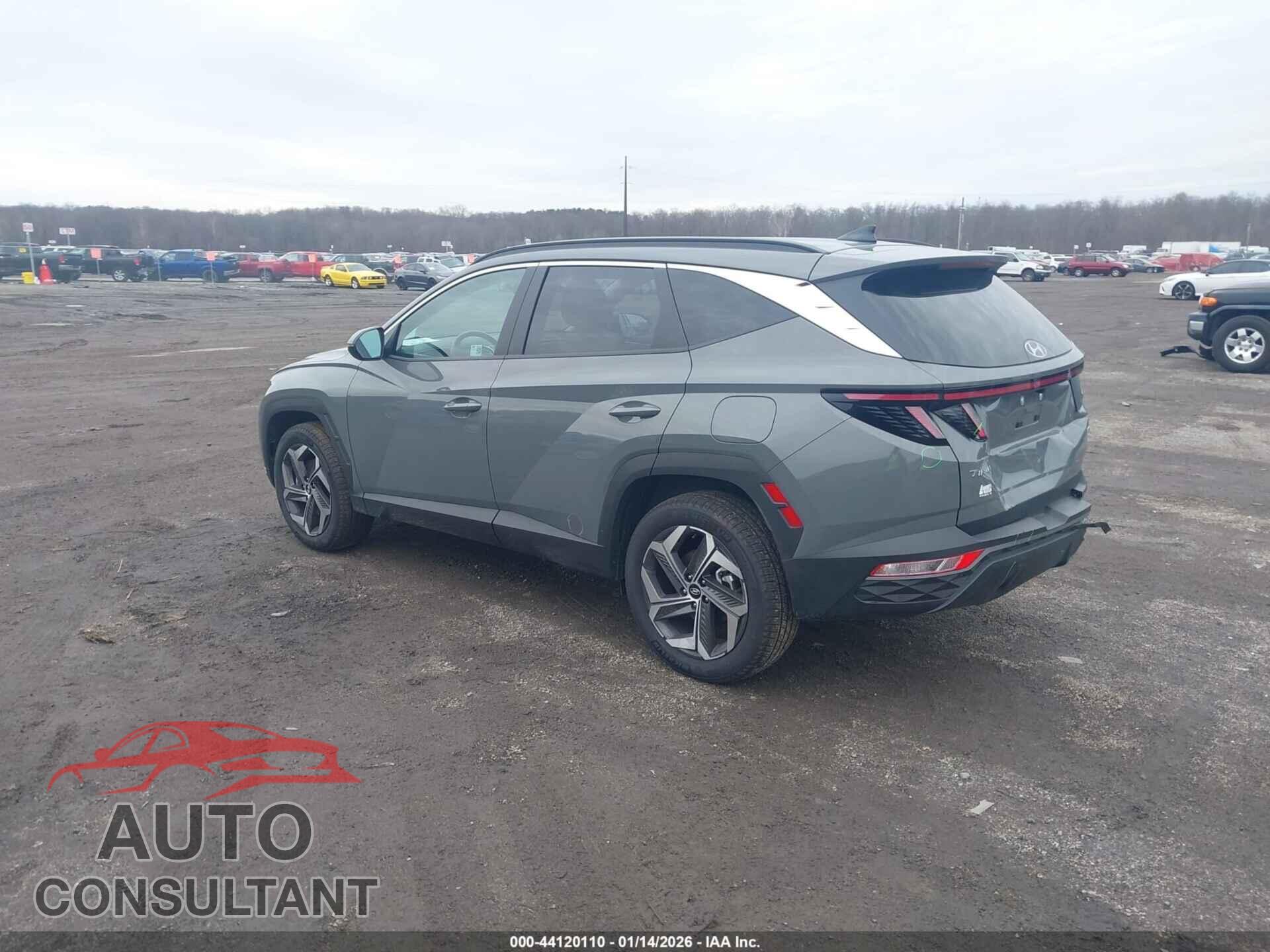 HYUNDAI TUCSON 2024 - 5NMJFCDE9RH395402