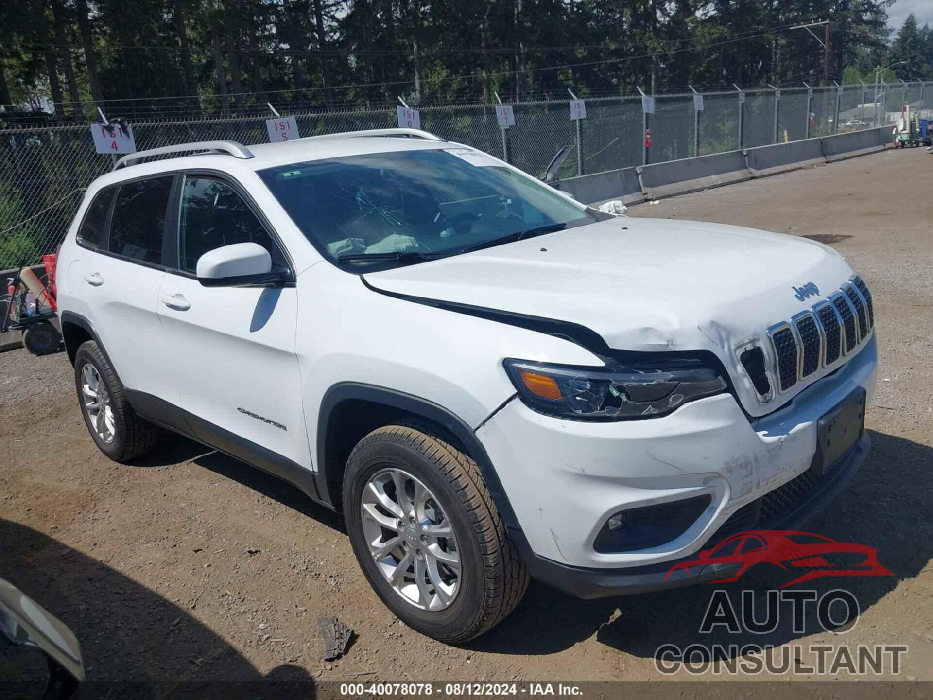 JEEP CHEROKEE 2019 - 1C4PJMCB0KD255906