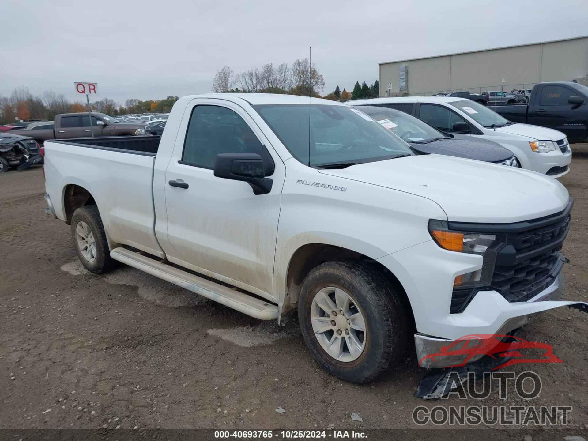CHEVROLET SILVERADO 1500 2023 - 3GCNAAEDXPG312126