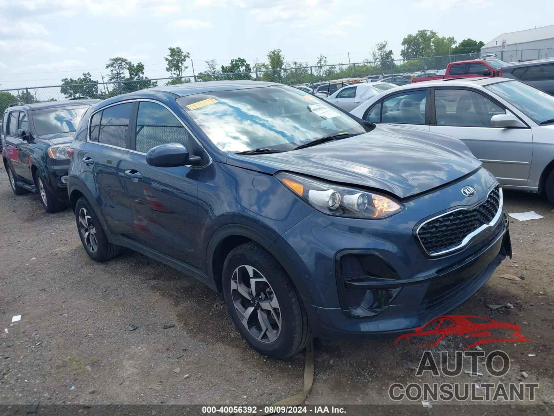 KIA SPORTAGE 2022 - KNDPM3AC6N7954148