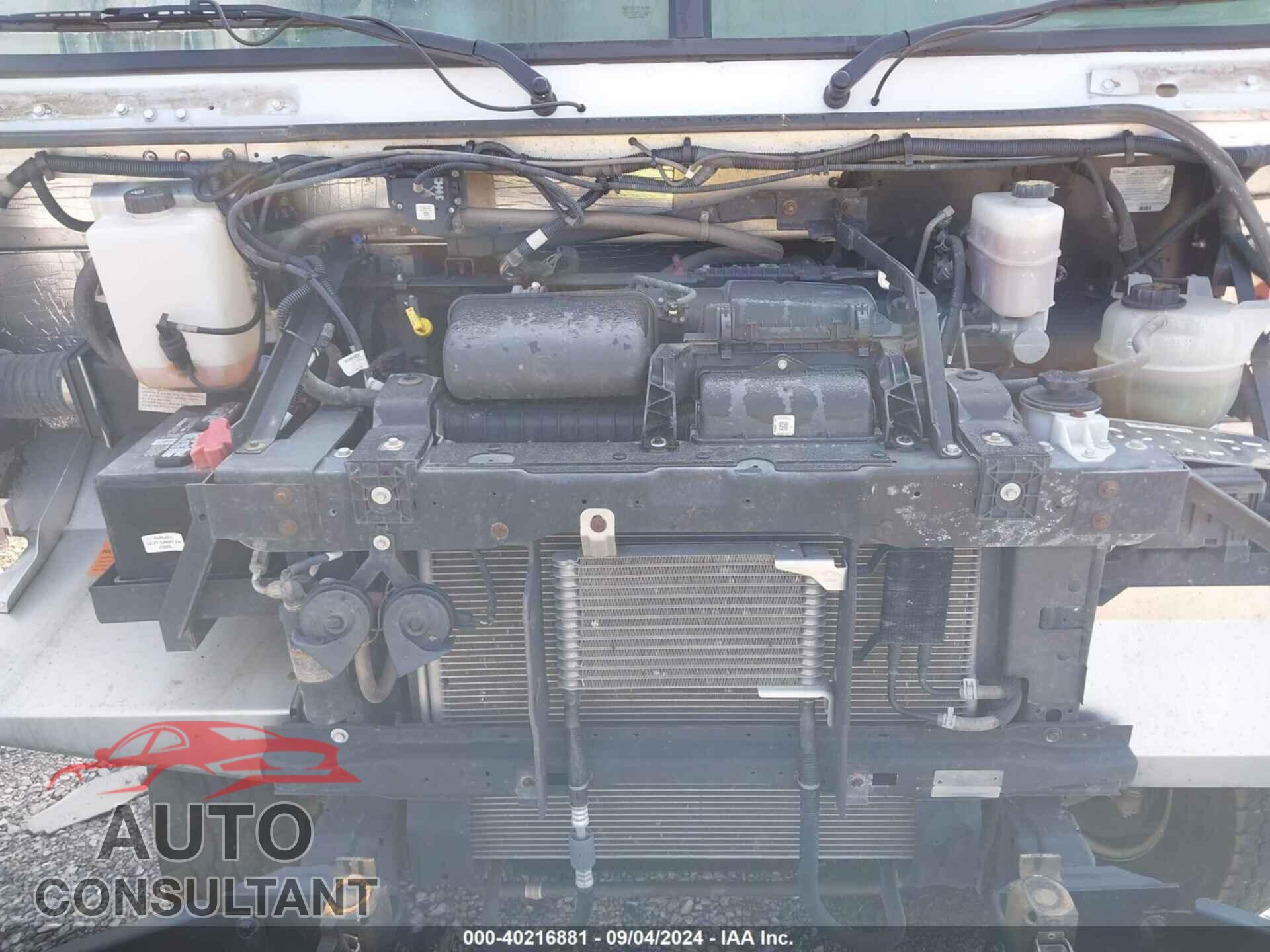 FORD E-350 STRIPPED 2021 - 1FC3E3KN7MDC38547