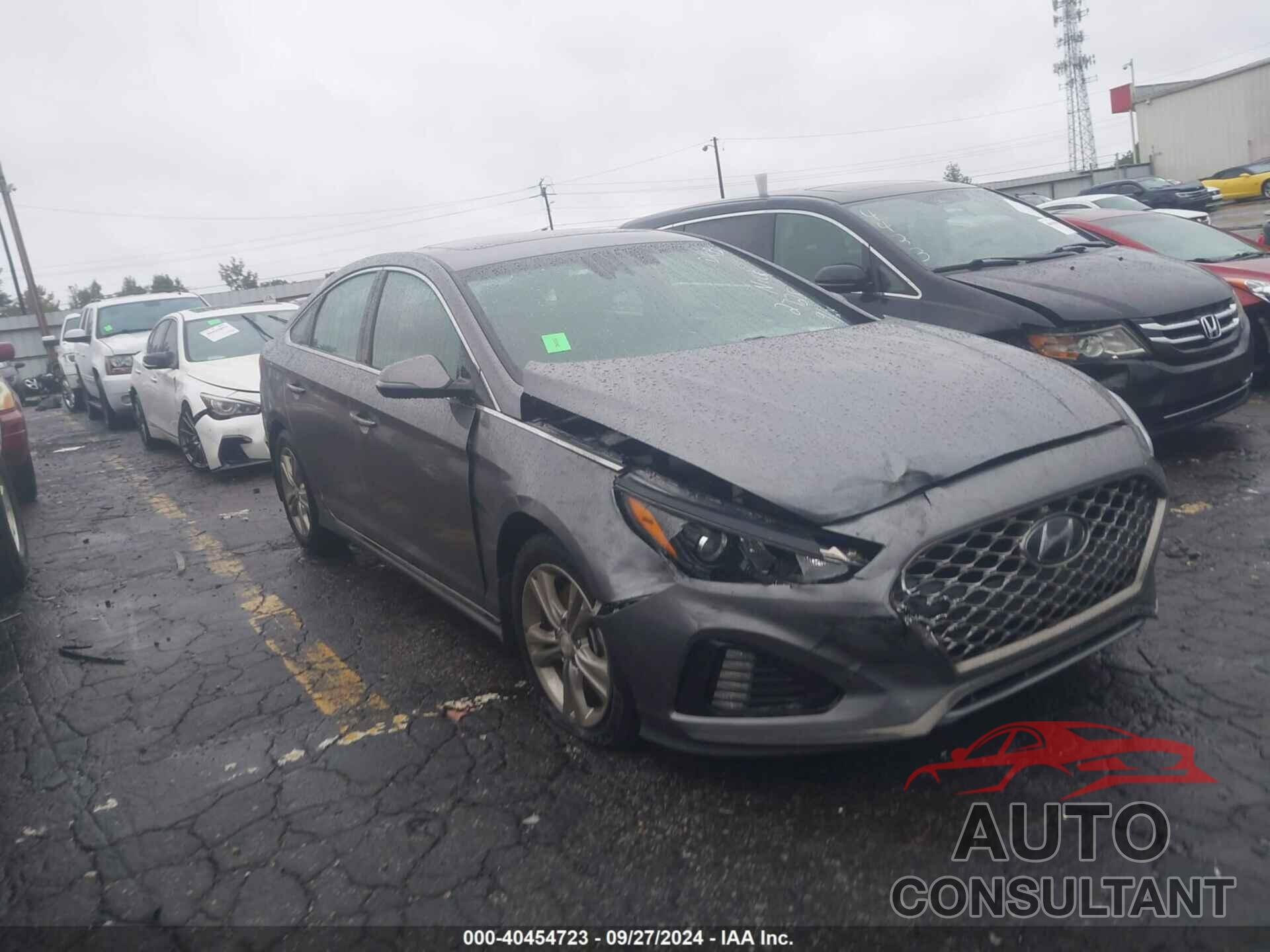 HYUNDAI SONATA 2019 - 5NPE34AF8KH732728