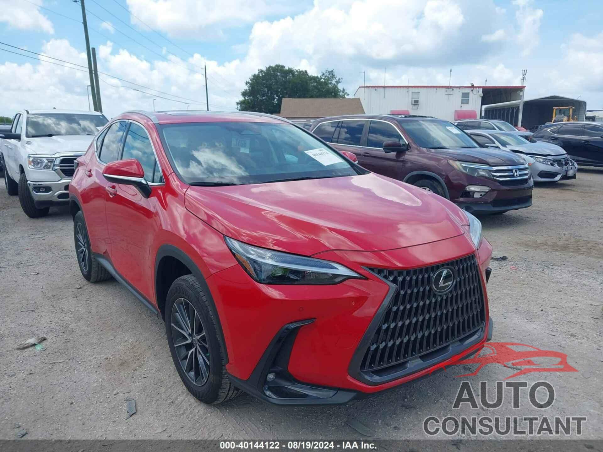 LEXUS NX 250 2024 - 2T2GDCAZ1RC006308