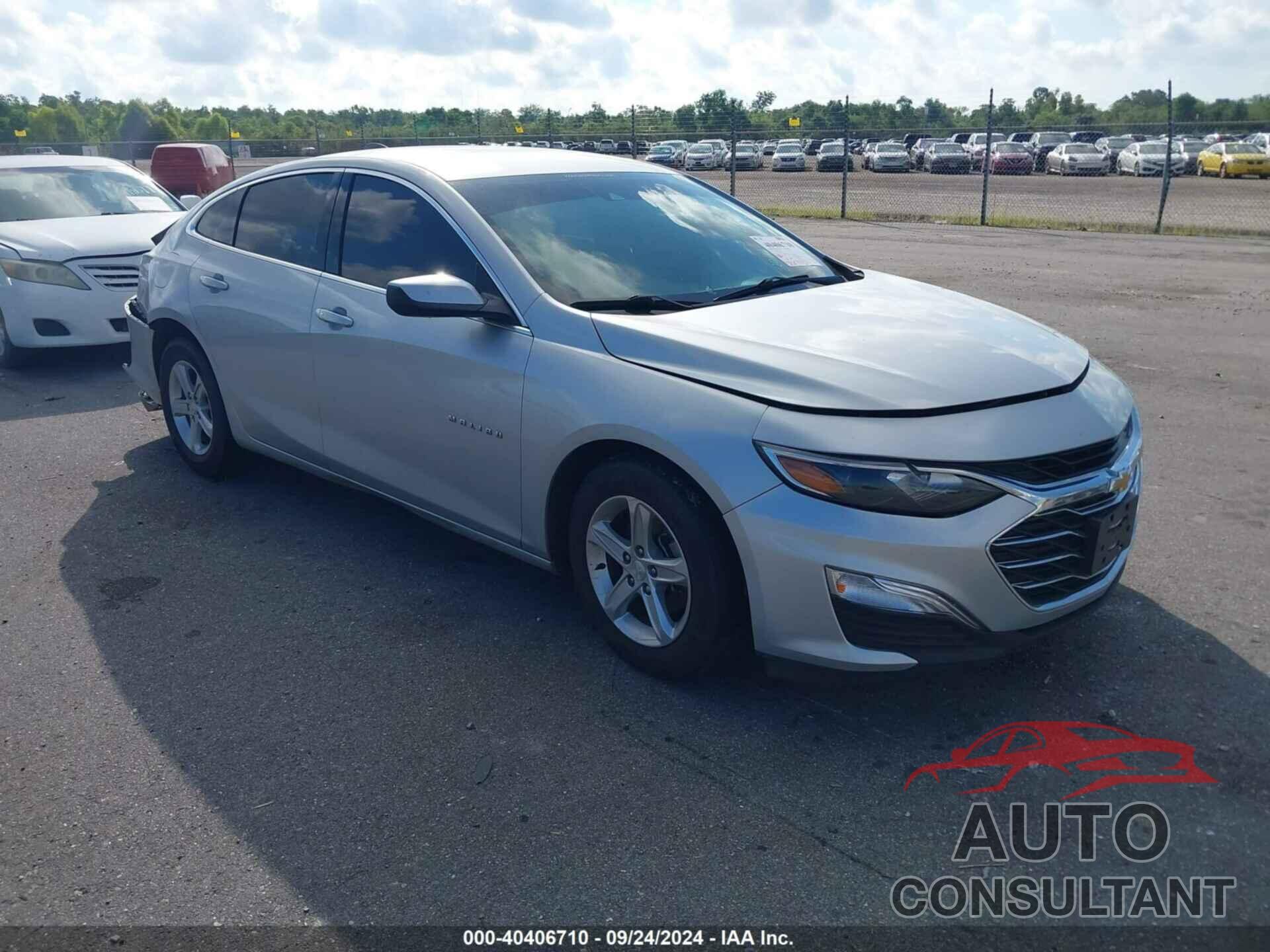 CHEVROLET MALIBU 2019 - 1G1ZC5ST4KF137499
