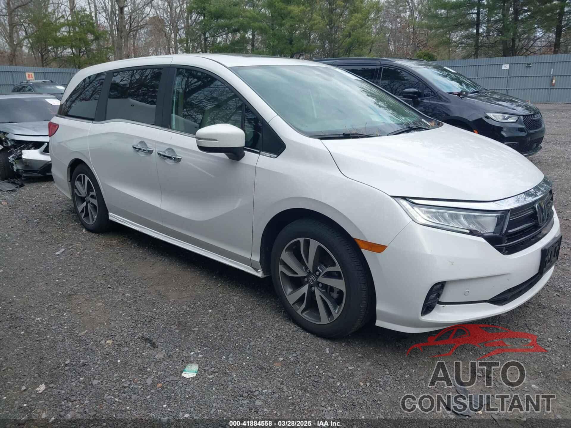 HONDA ODYSSEY 2024 - 5FNRL6H82RB055267