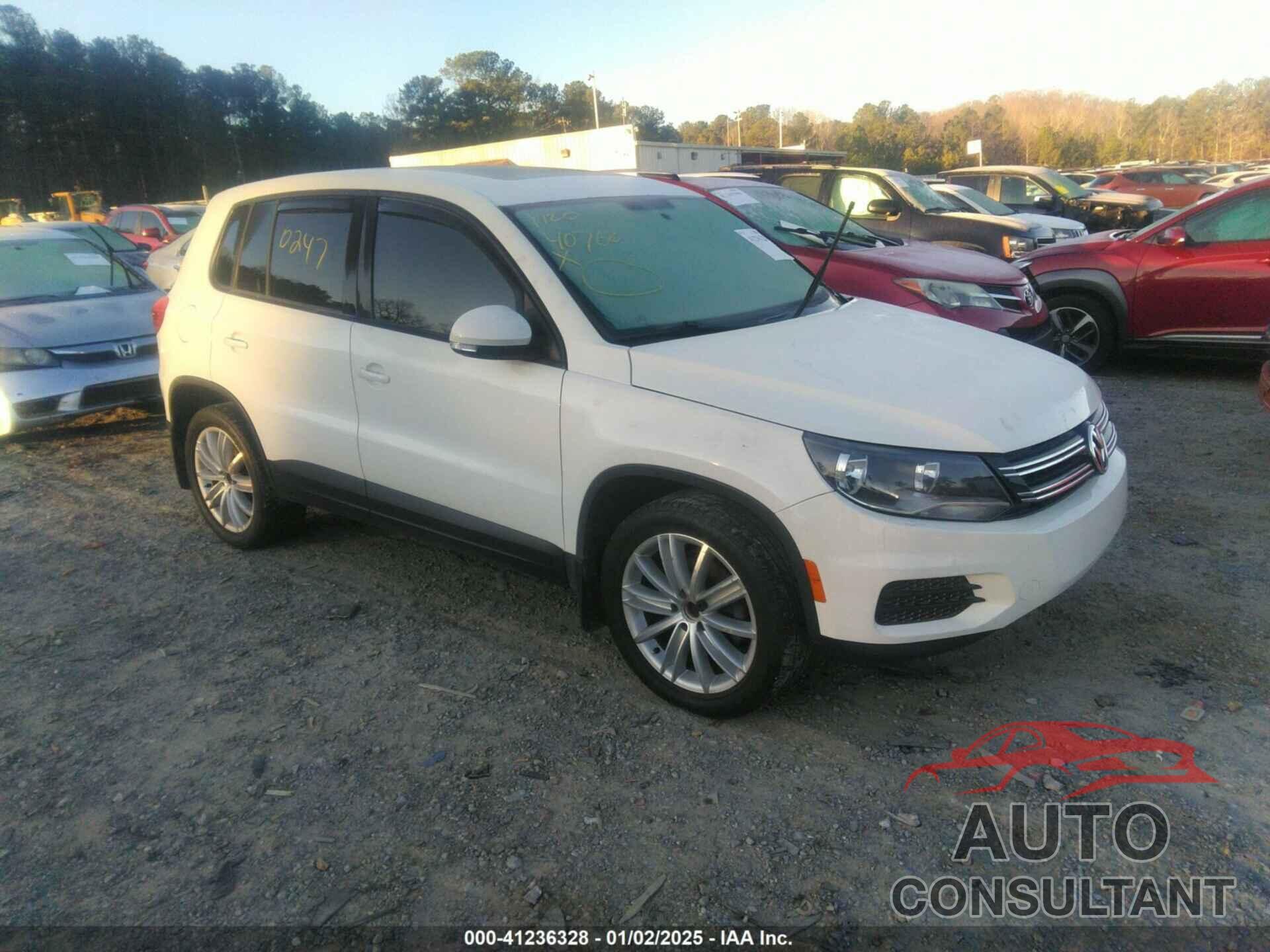 VOLKSWAGEN TIGUAN 2013 - WVGBV7AX4DW508369