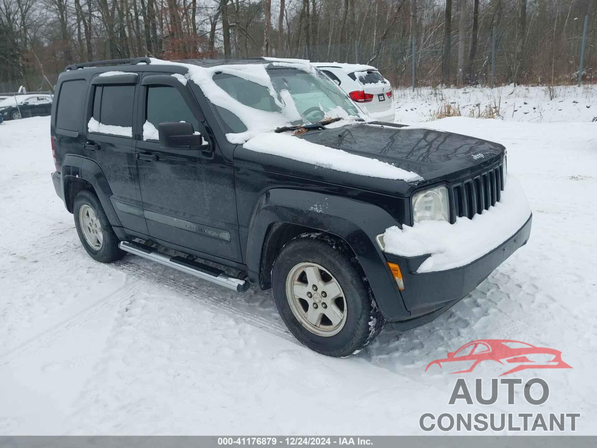 JEEP LIBERTY 2010 - 1J4PN2GK2AW115291