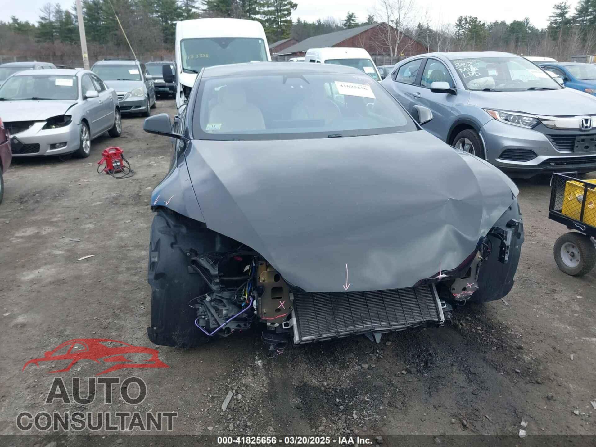 TESLA MODEL S 2021 - 5YJSA1E69MF439147