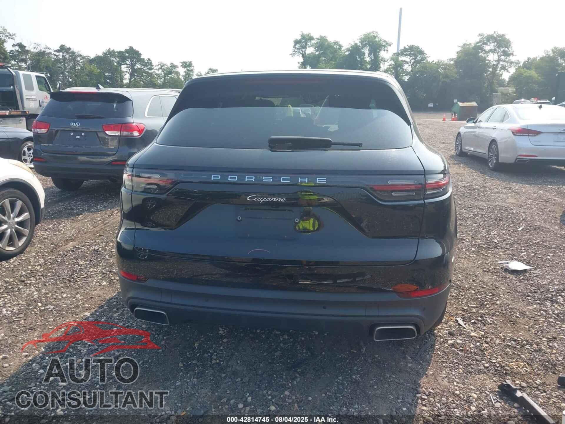 PORSCHE CAYENNE 2019 - WP1AA2AY4KDA18142