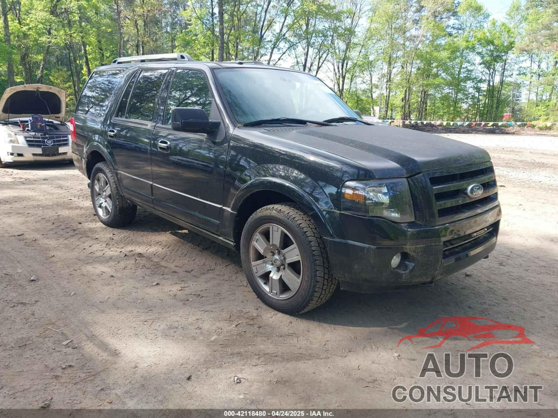 FORD EXPEDITION 2010 - 1FMJU2A59AEB52440