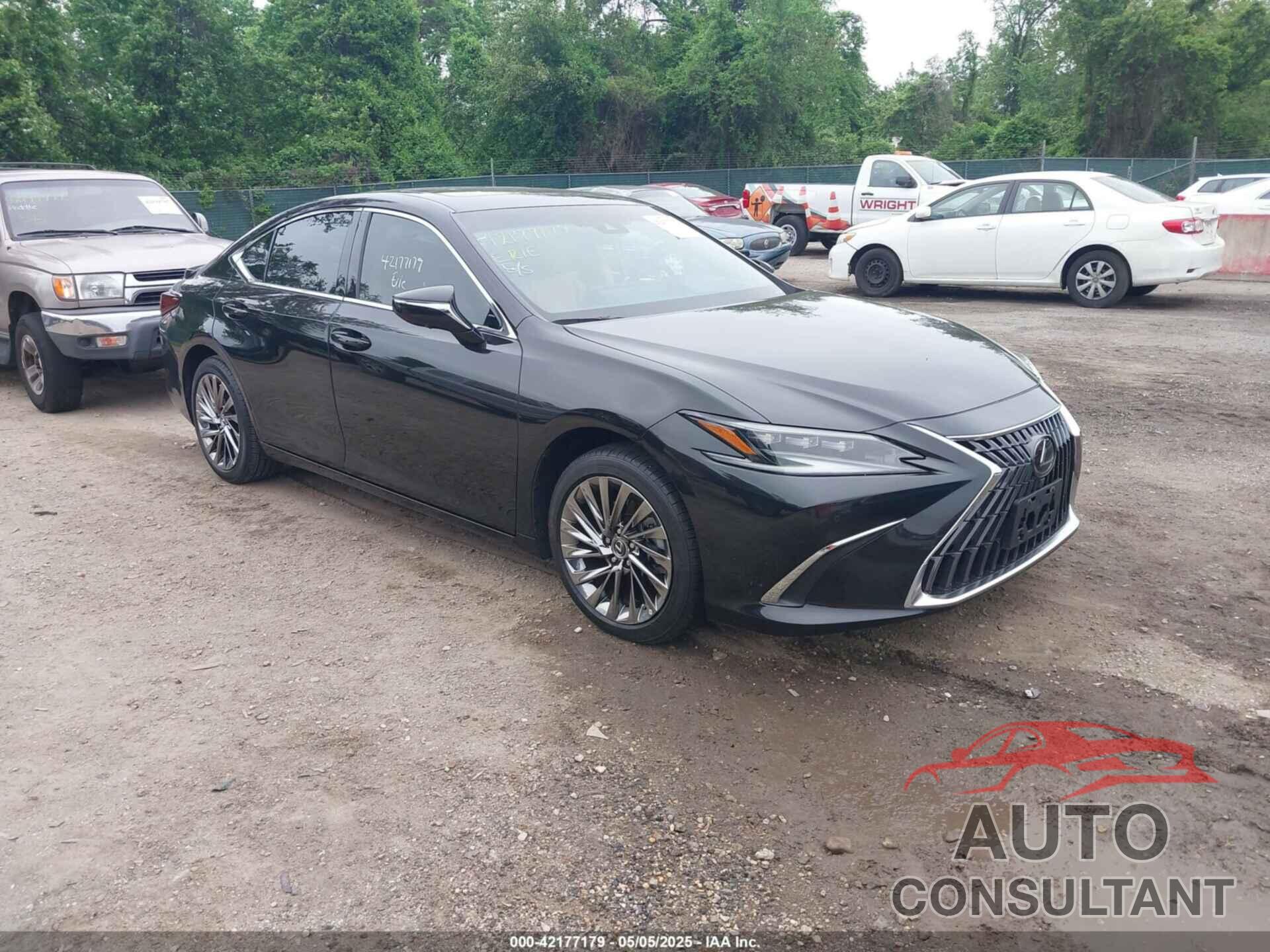 LEXUS ES 300H 2024 - 58AFA1C13RU048538