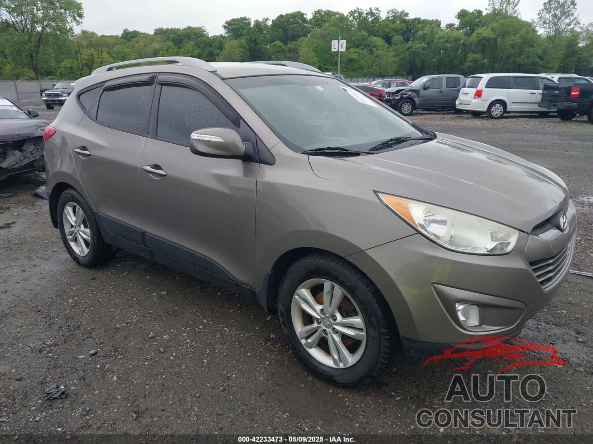 HYUNDAI TUCSON 2013 - KM8JUCAC3DU556669